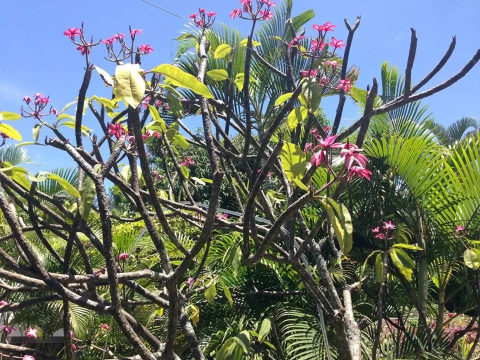 Decorative detail in Cinco Hotel B&B
