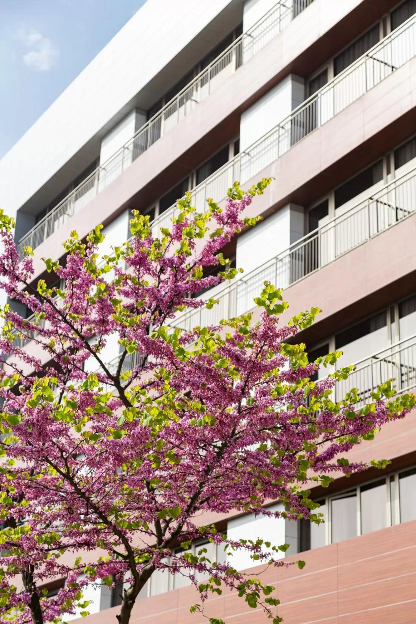 Property building in Novotel Trabzon