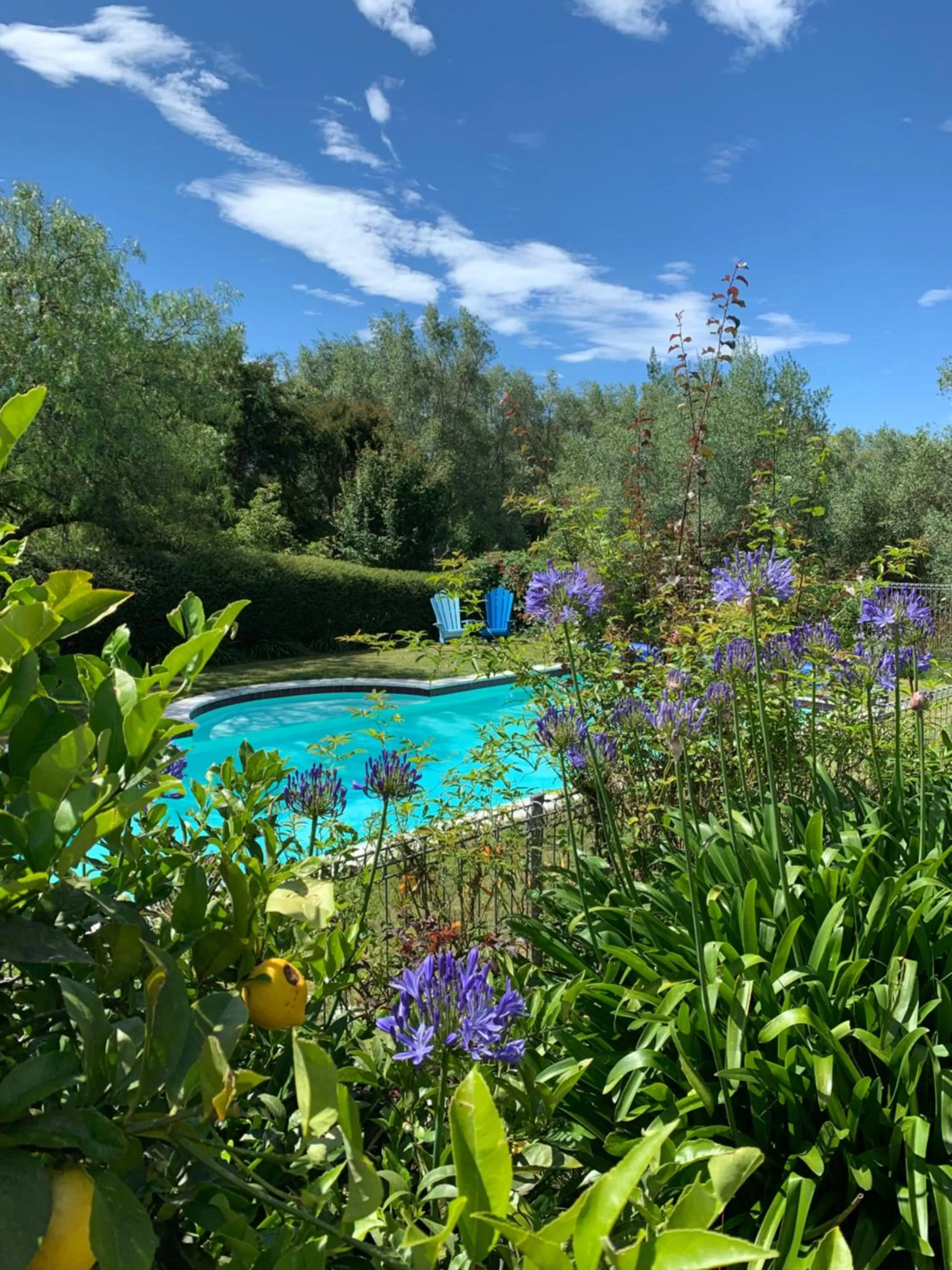 Pool View in Quail Farm, Colonial charm