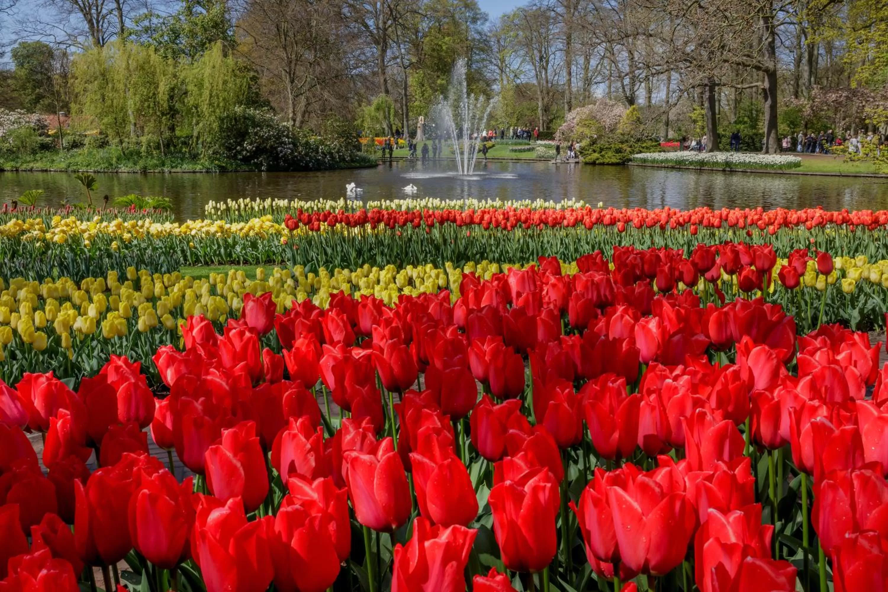 Natural landscape in ibis Styles Haarlem City