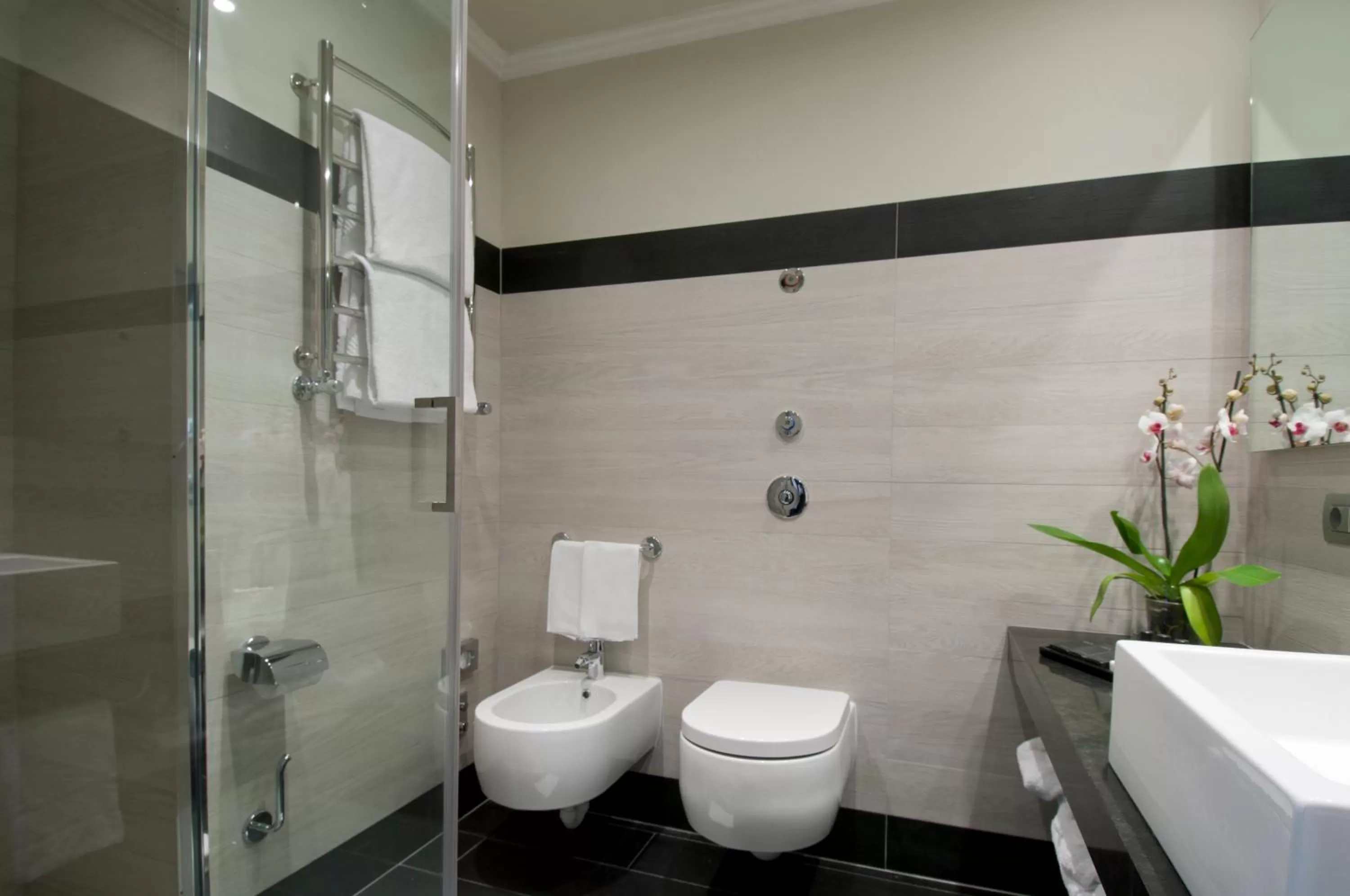 Toilet in Sina De La Ville