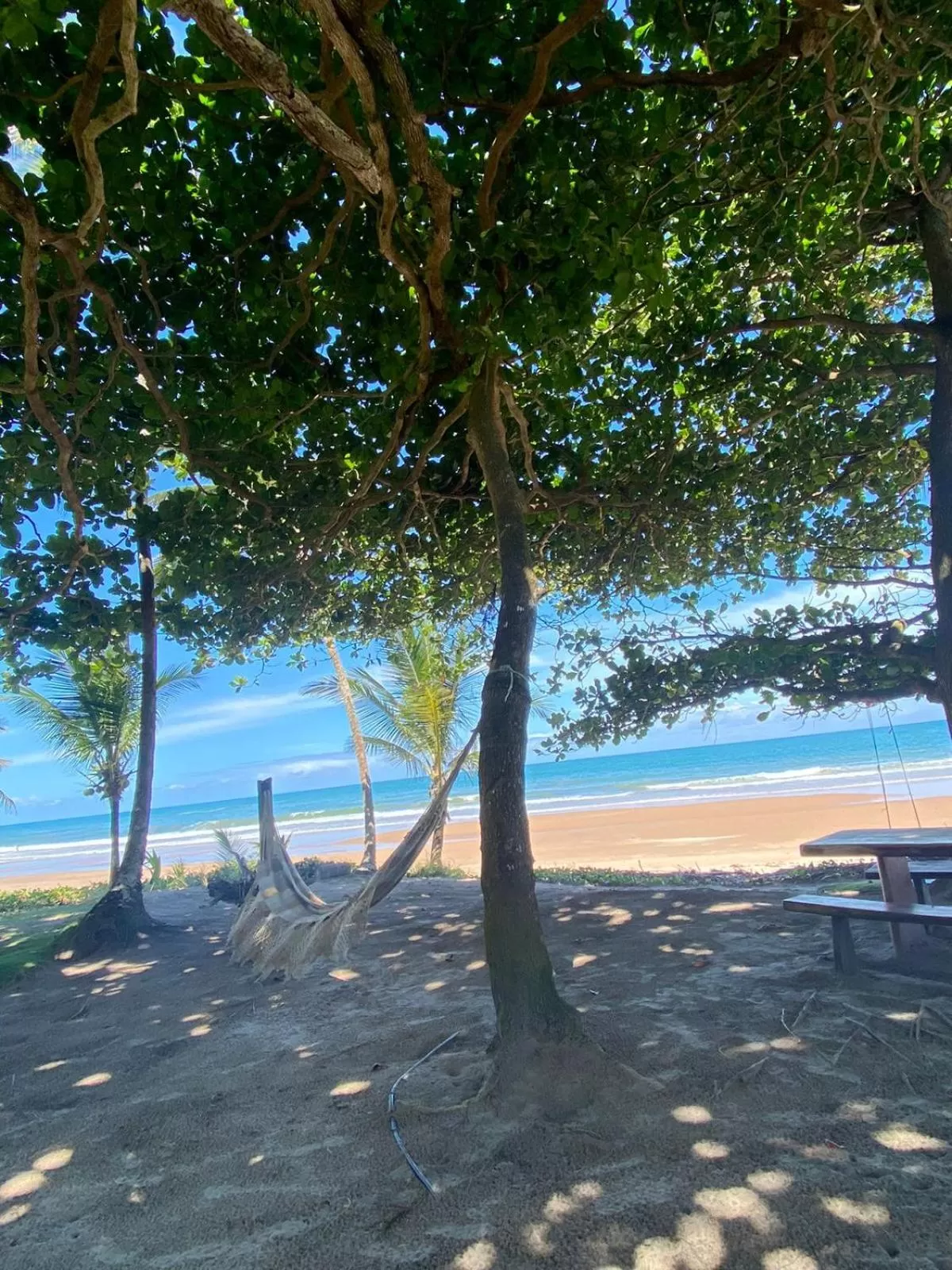 Natural landscape, Beach in Pousada Bahia Boa