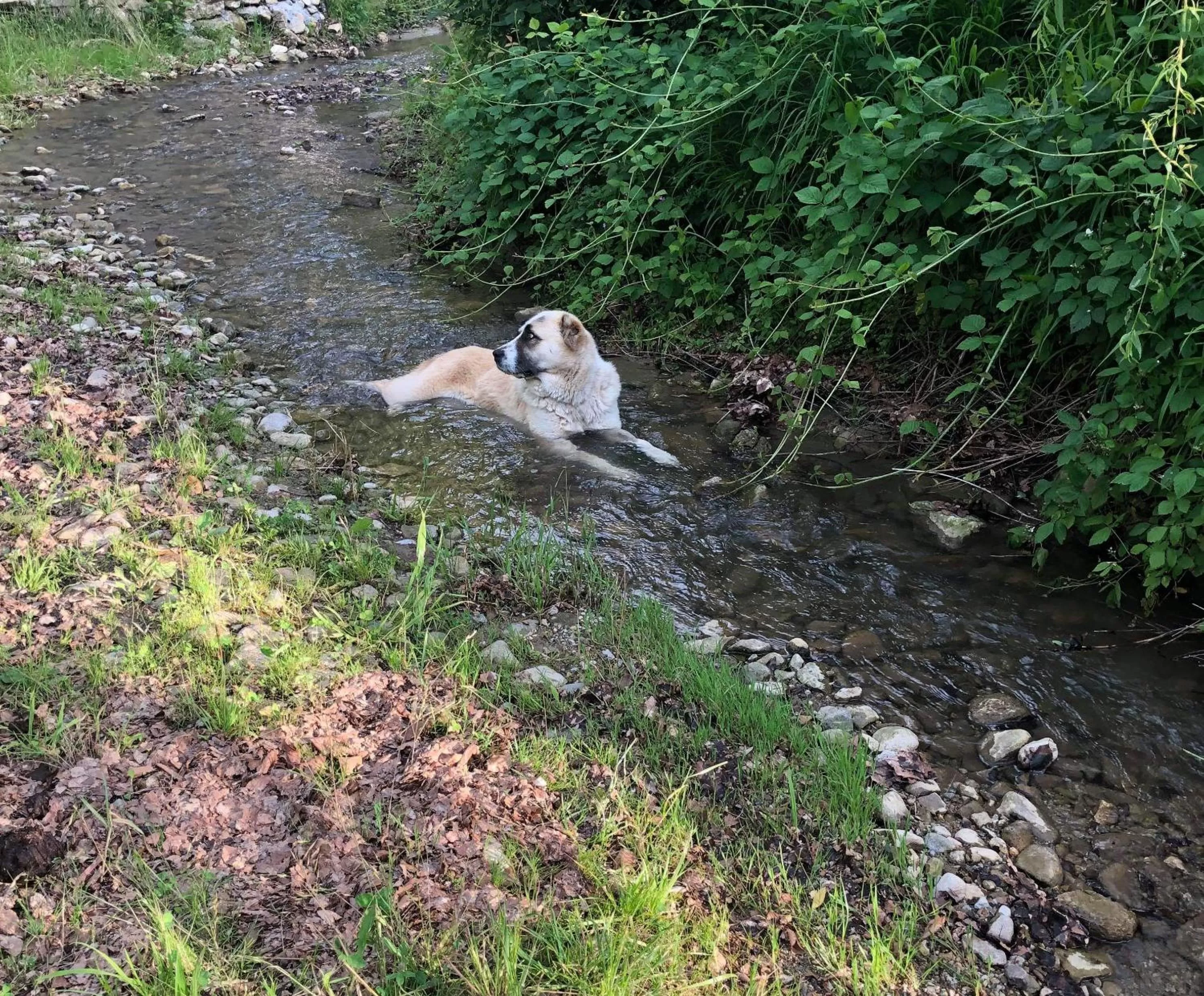 Property building in Pensiunea SilvAnka