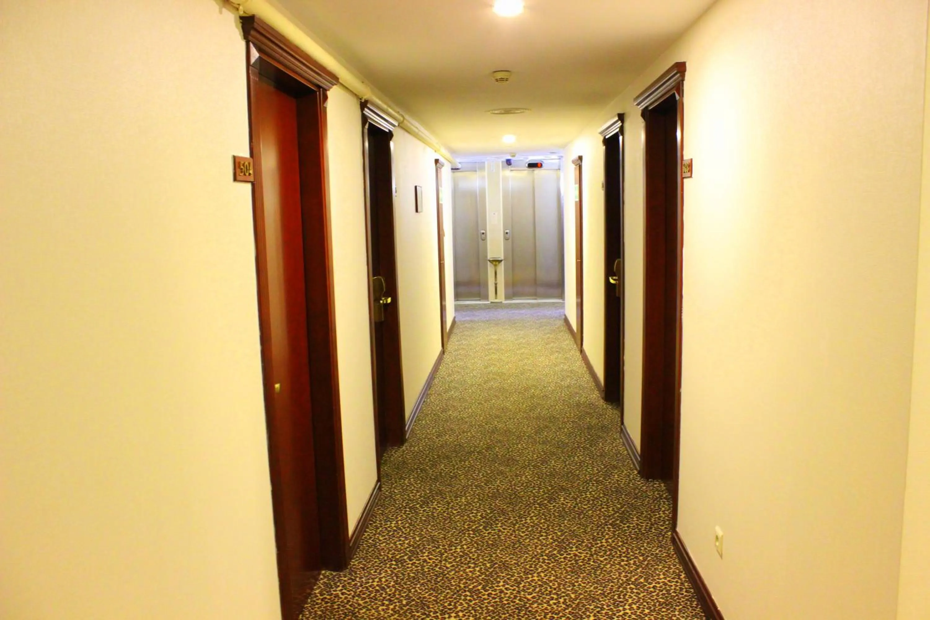 Decorative detail in Topkapi Inter Istanbul Hotel