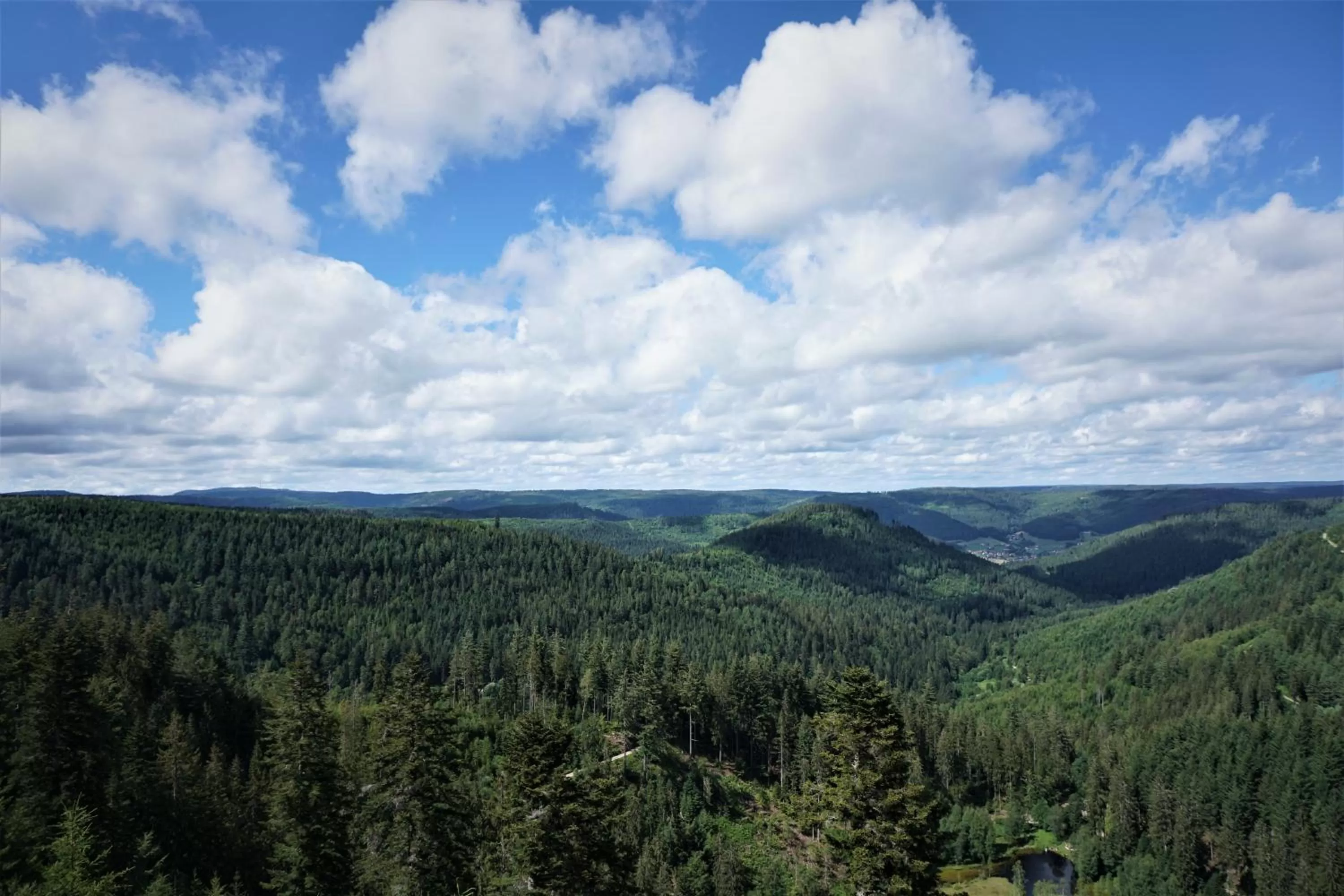 Nearby landmark in Kurparkhotel Faißt