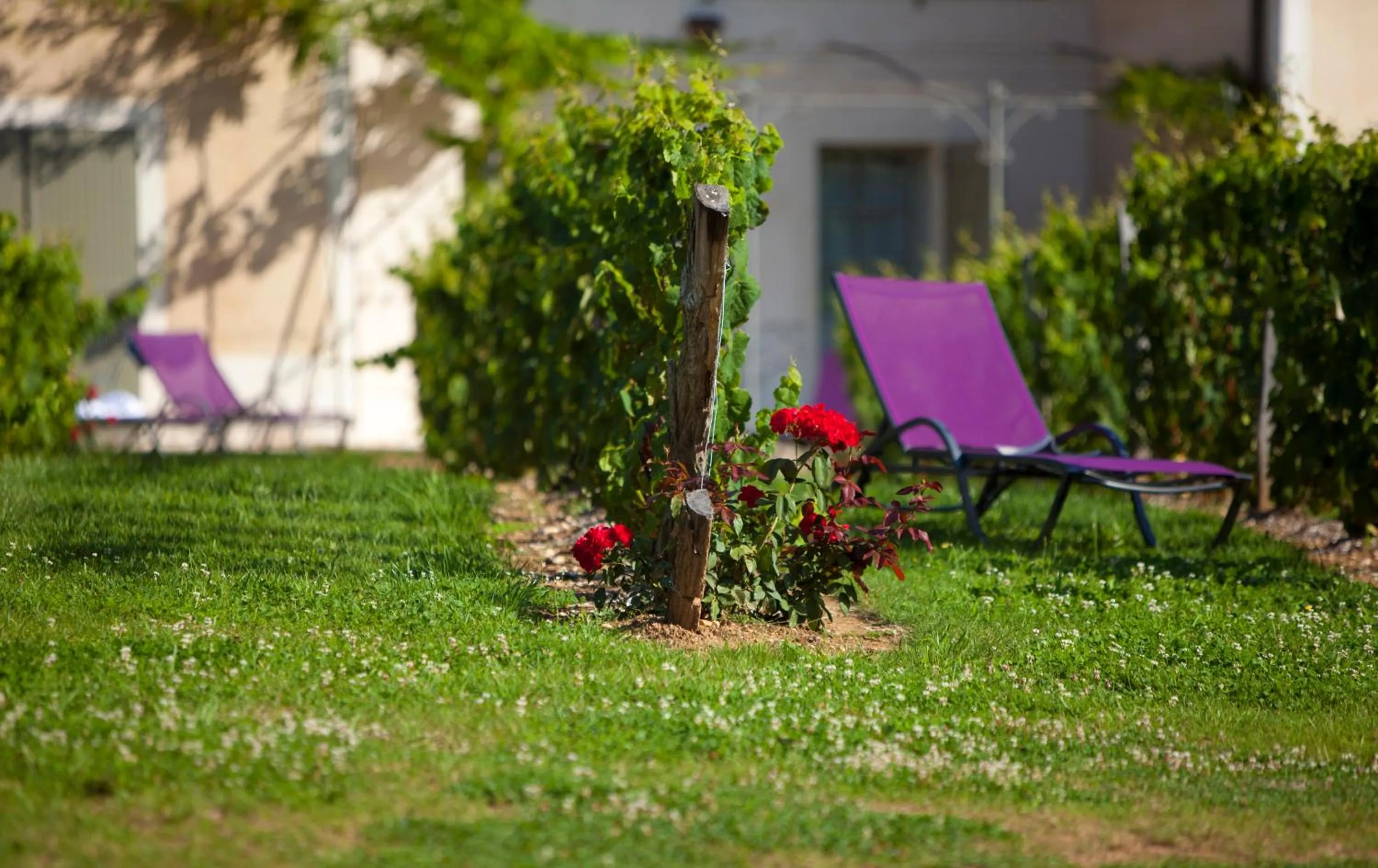 Garden in Hôtel-Spa Le Saint Cirq