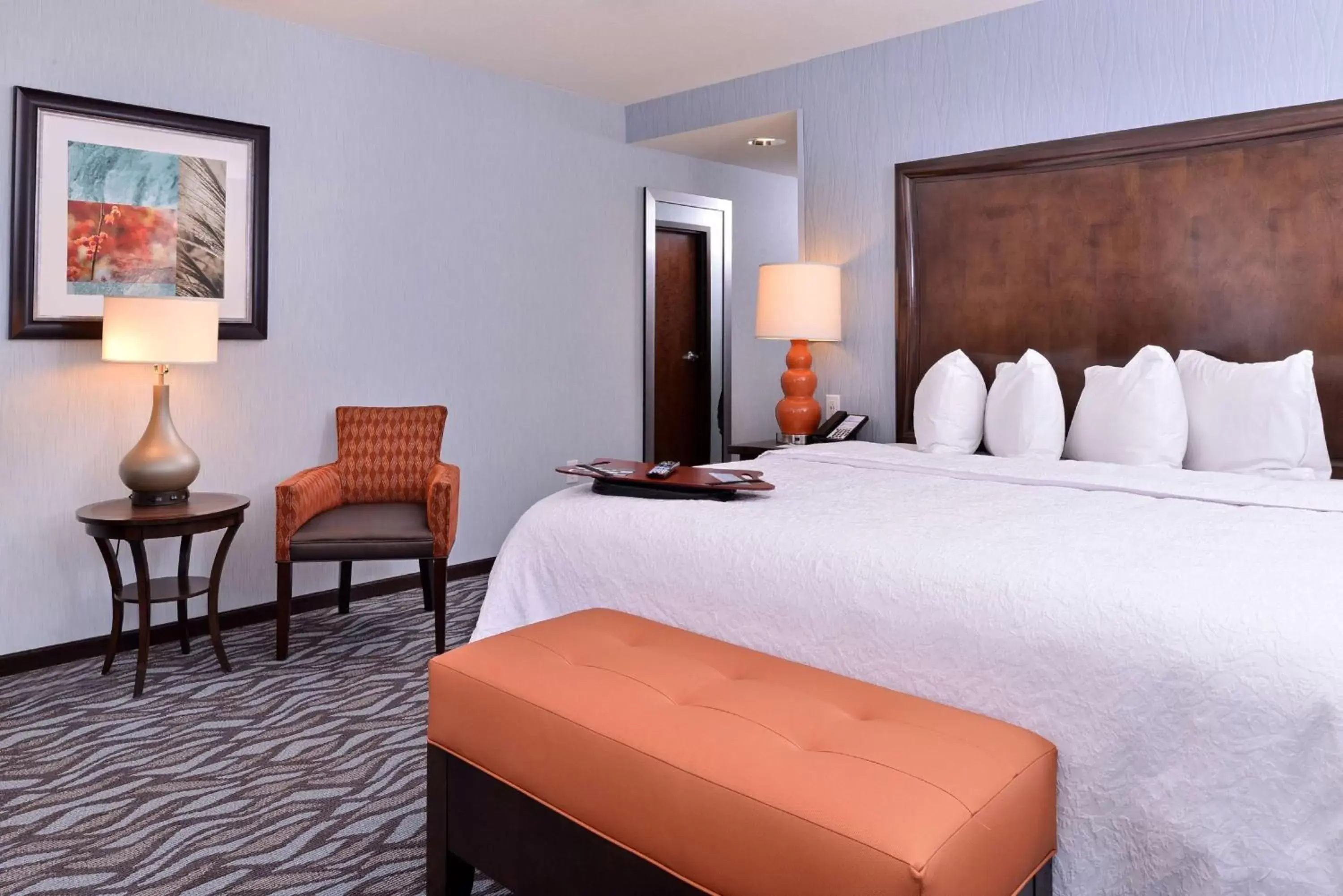 King Room - Non-Smoking in Hampton Inn Rome King Room - Non-Smoking in Hampton Inn Rome