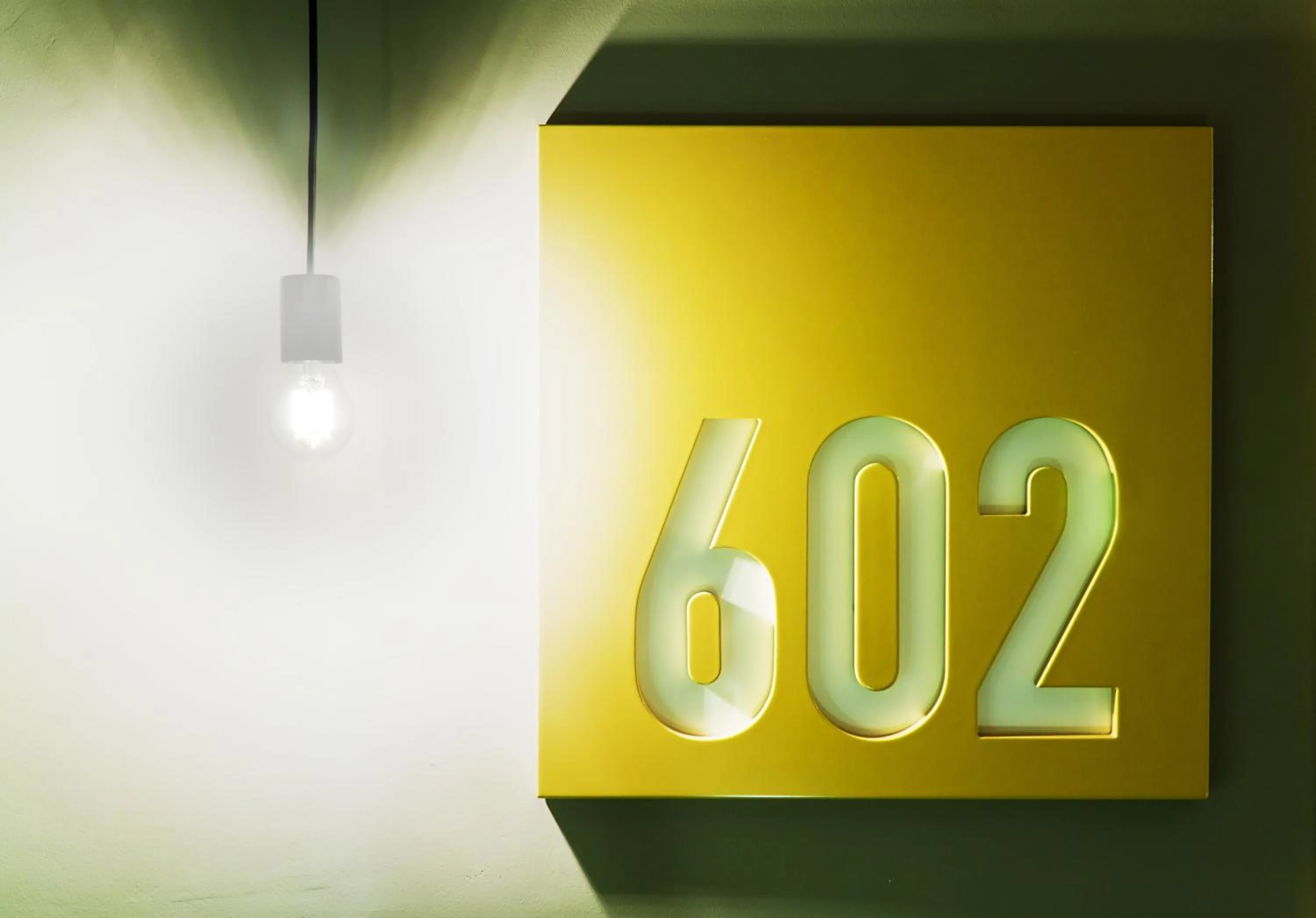 Decorative detail in One Shot Colón