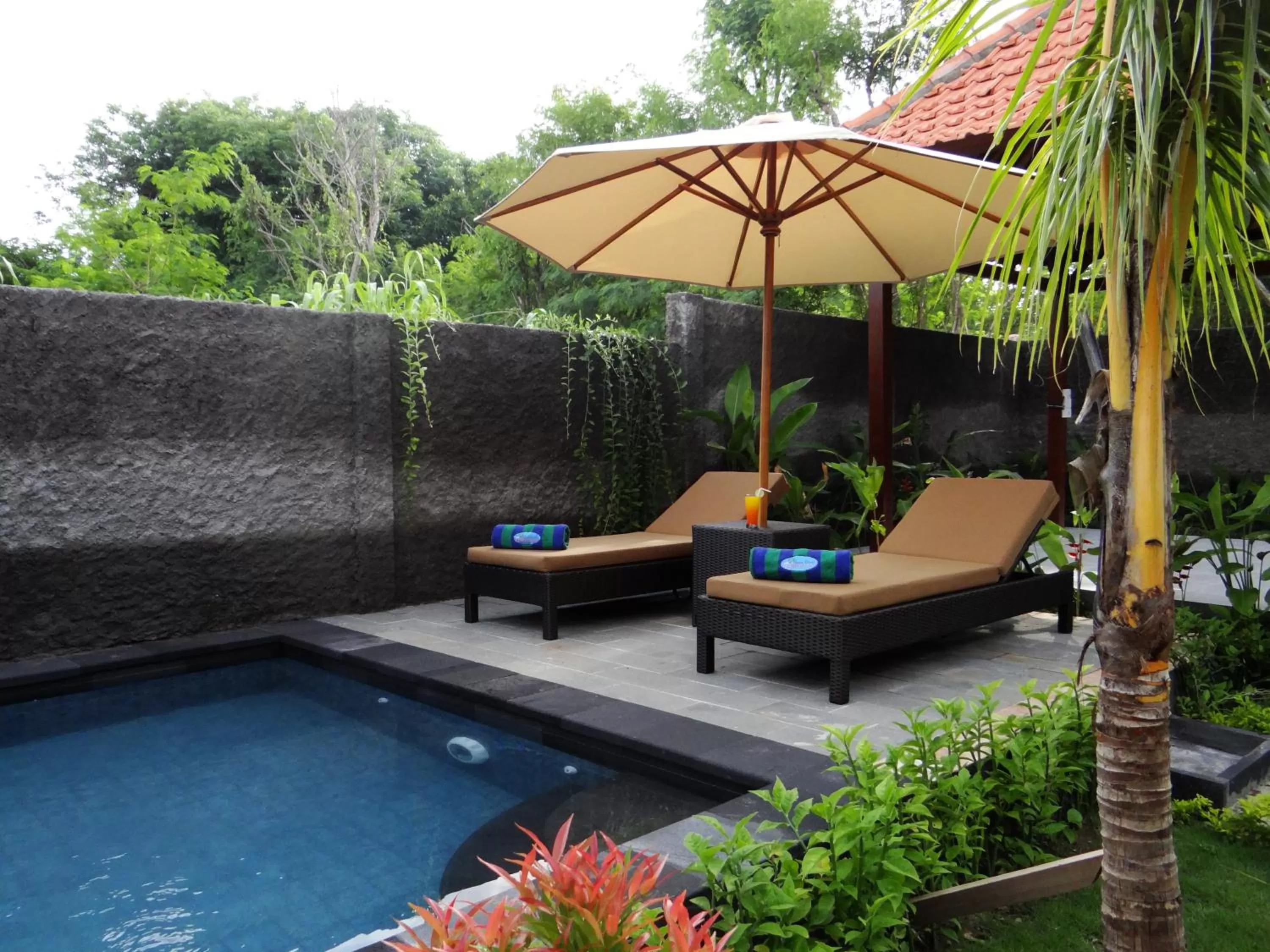 Garden view, Swimming Pool in Isola D'oro lembongan