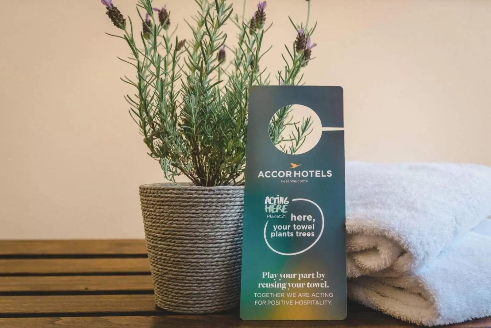 Certificate/Award in The Sebel Noosa