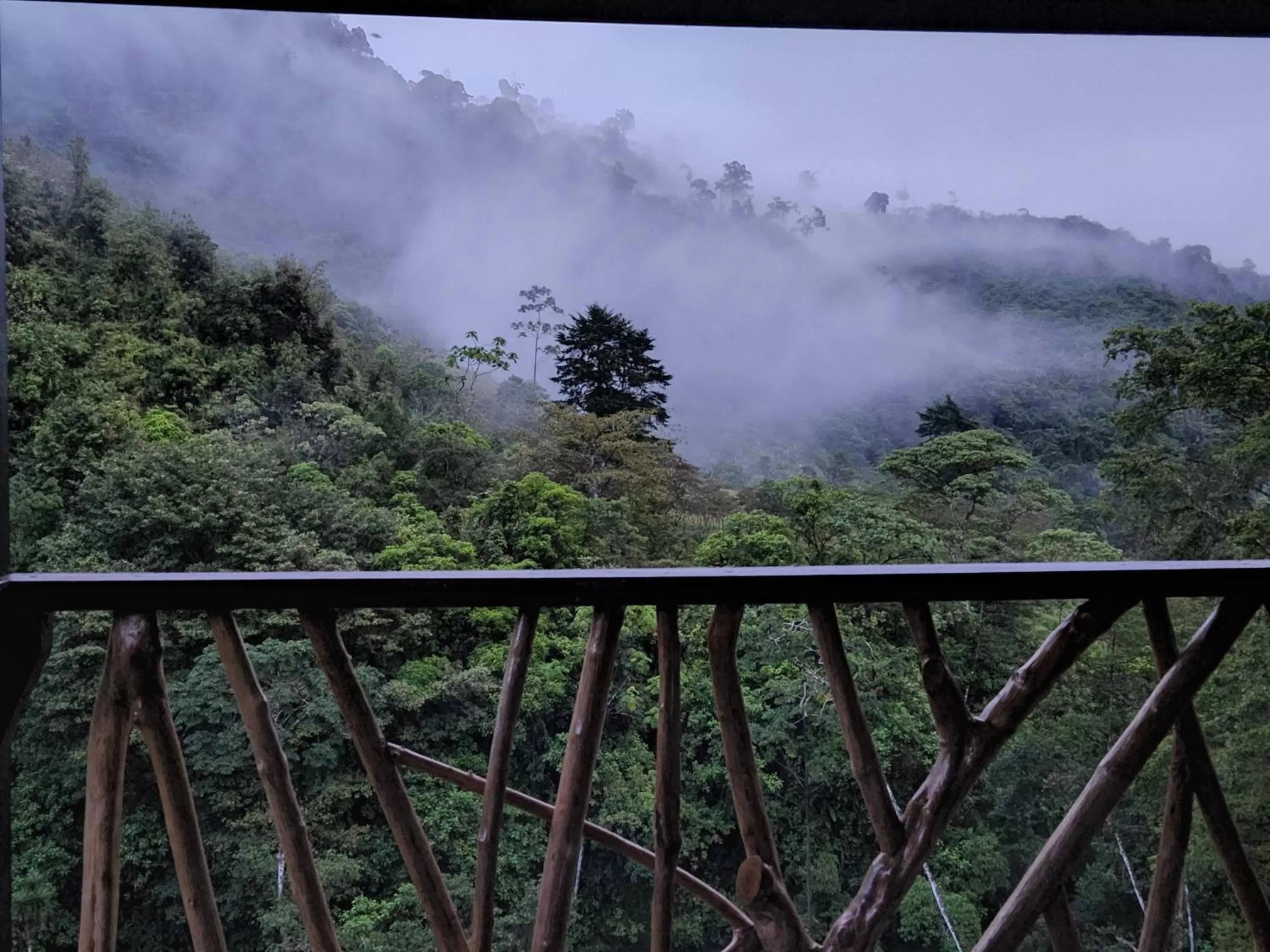 Natural landscape in Hotel Rivel - Adventure & Nature Retreat