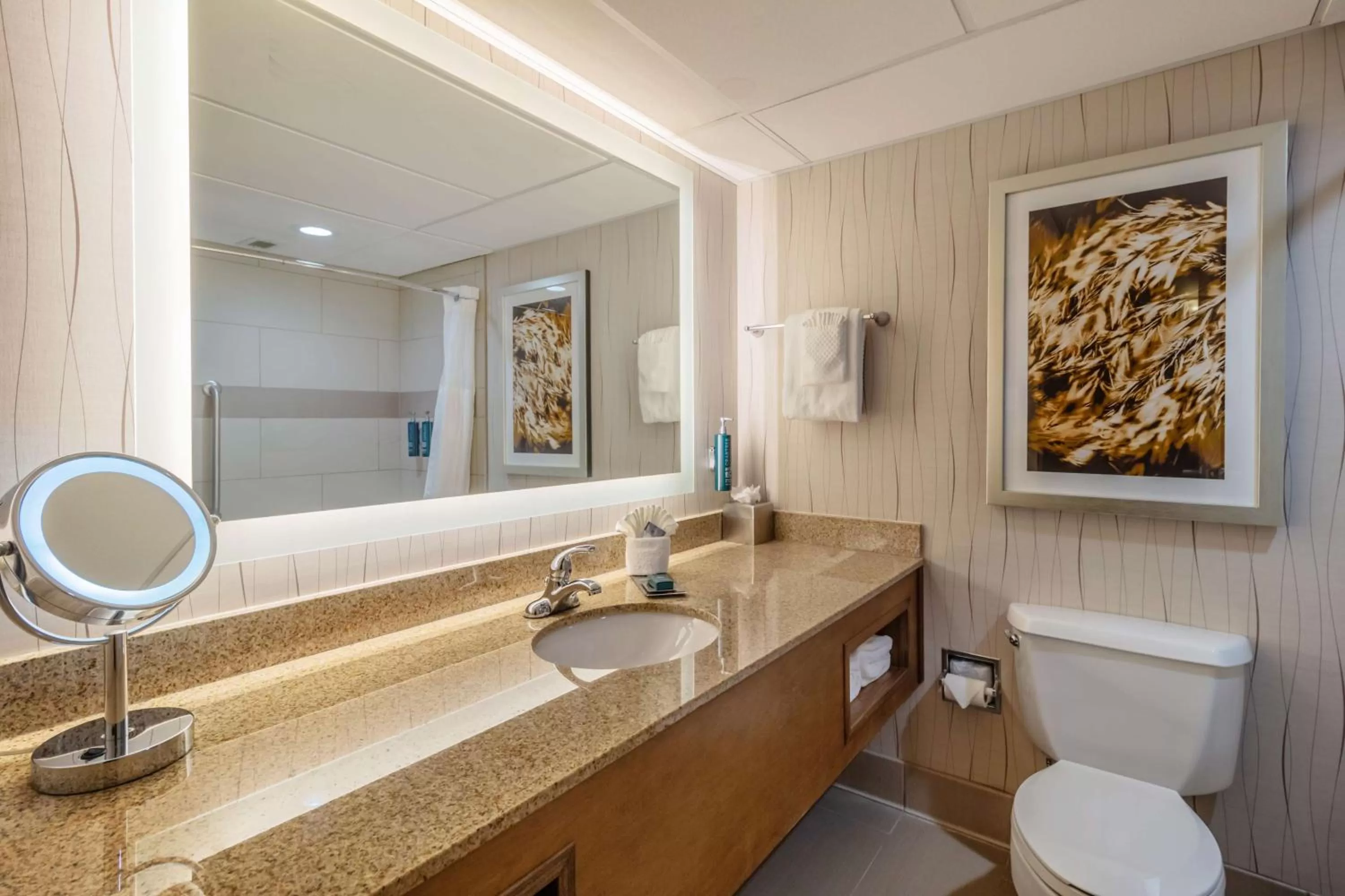 Bathroom in DoubleTree by Hilton Lawrence