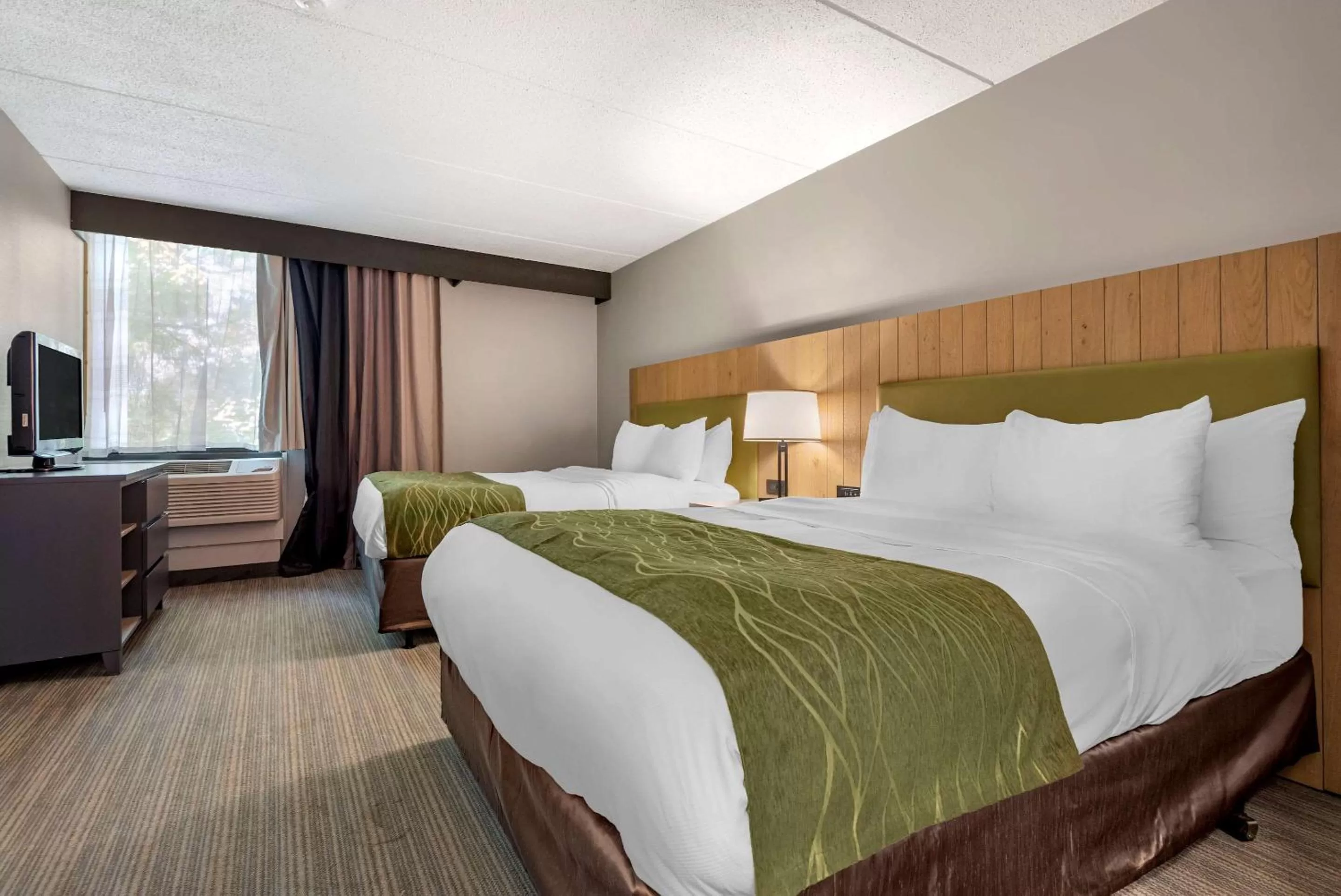 Executive Suite with Two Queen Beds  and Sofa Bed - Non Smoking in Comfort Inn & Suites Syracuse North