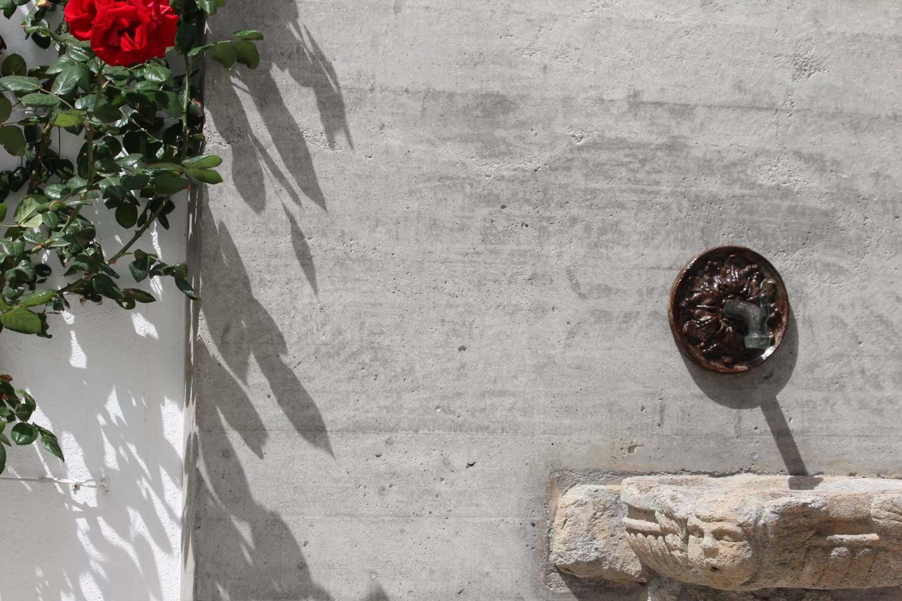 Garden in Hotel Intorno Al Fico