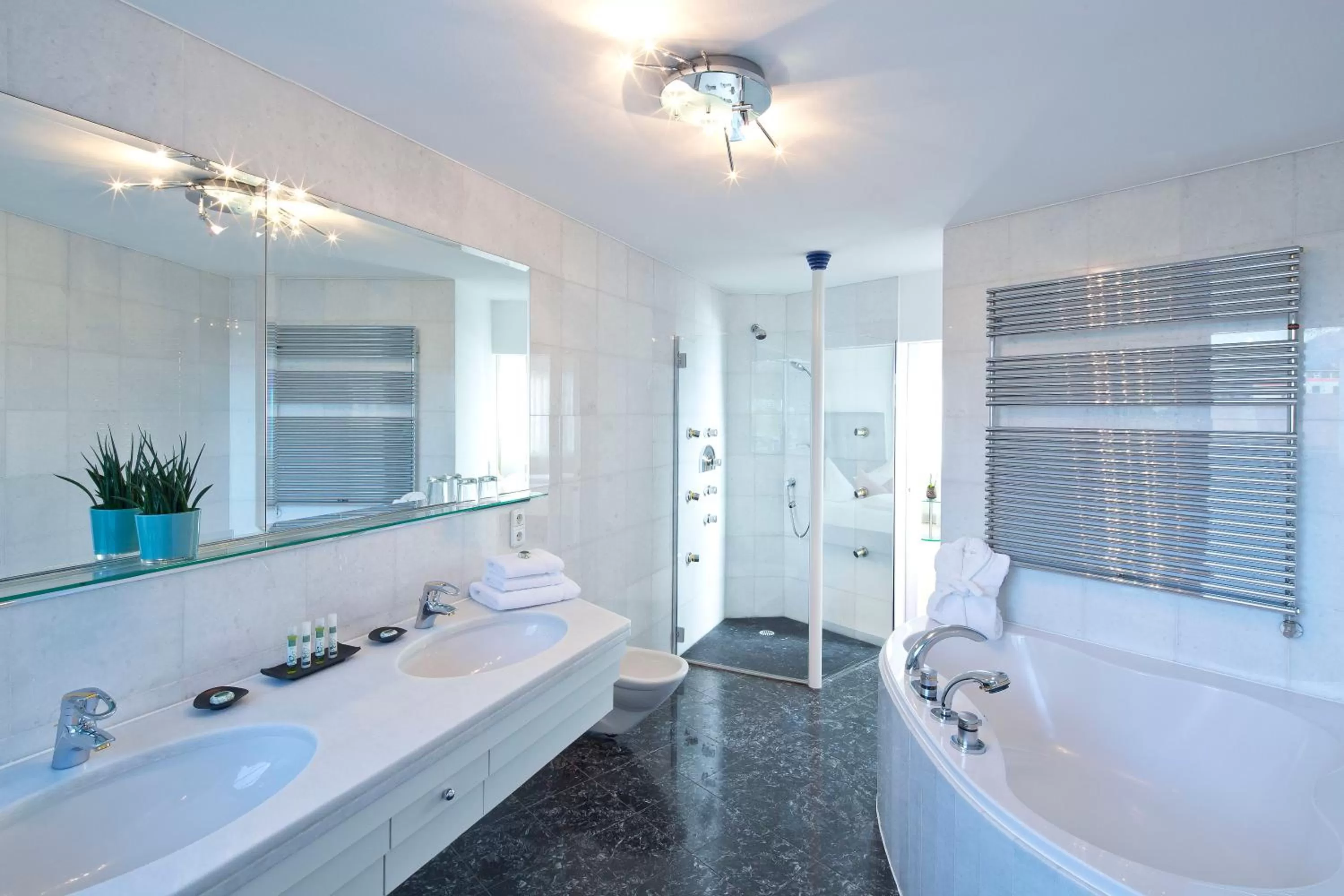 Bathroom in Hotel Penz West