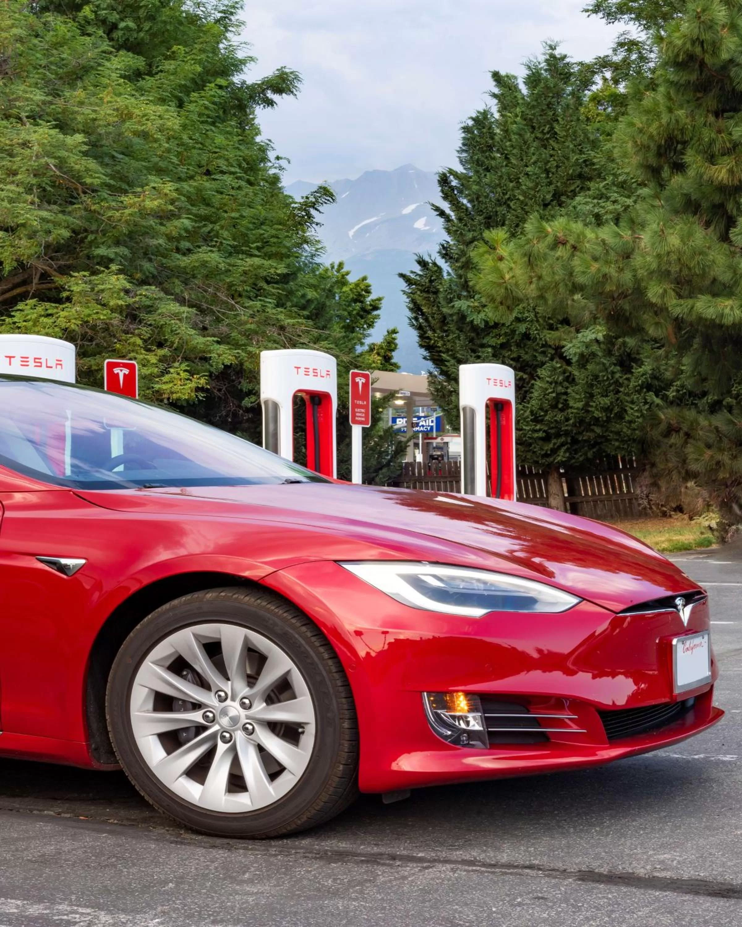 On site in Best Western Plus Tree House