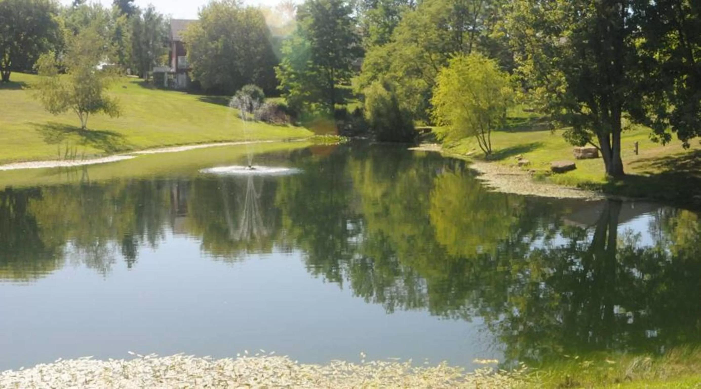 Area and facilities in Wyndham Garden Galena Hotel & Day Spa