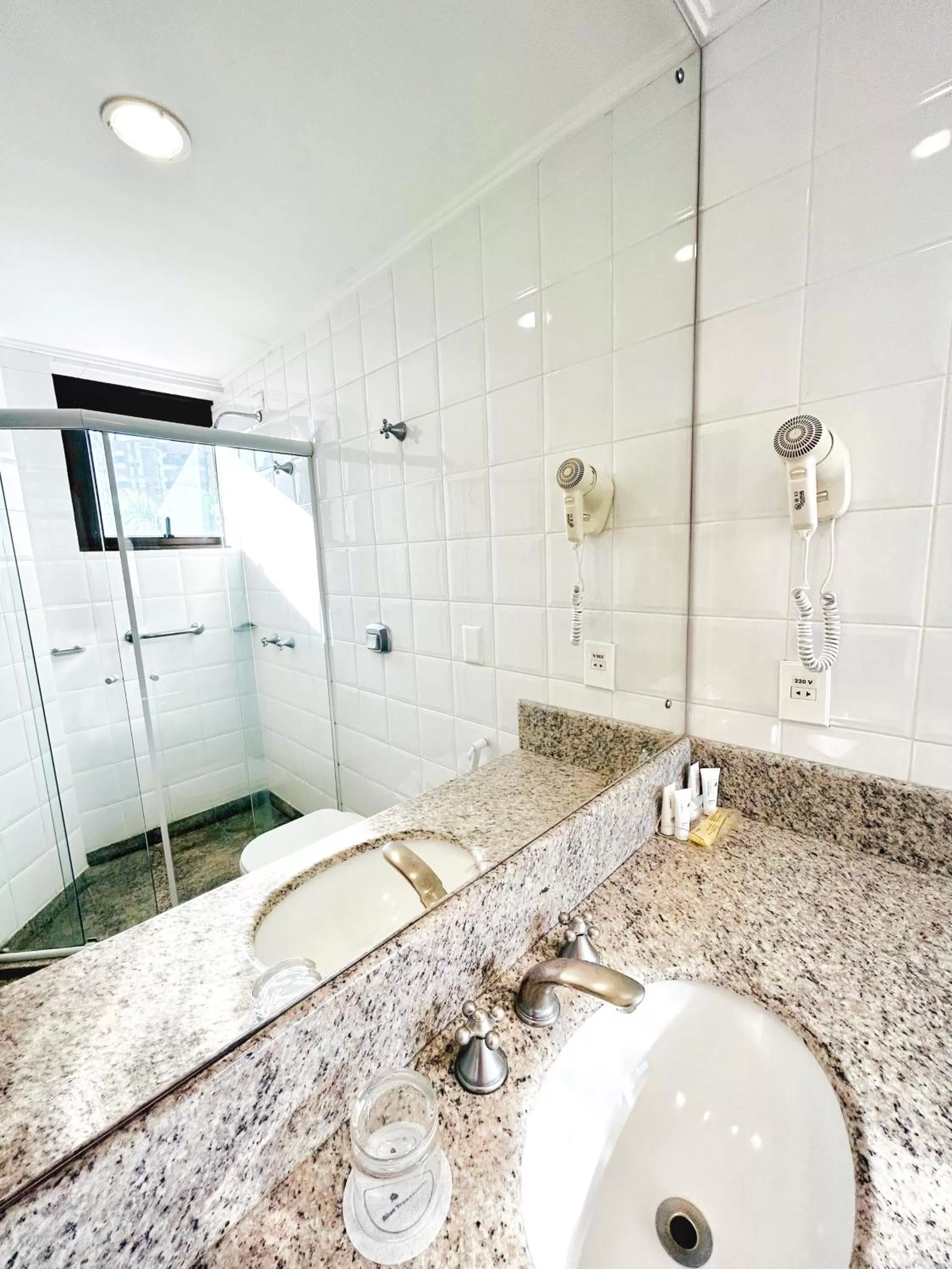 Toilet in Blue Tree Towers Joinville