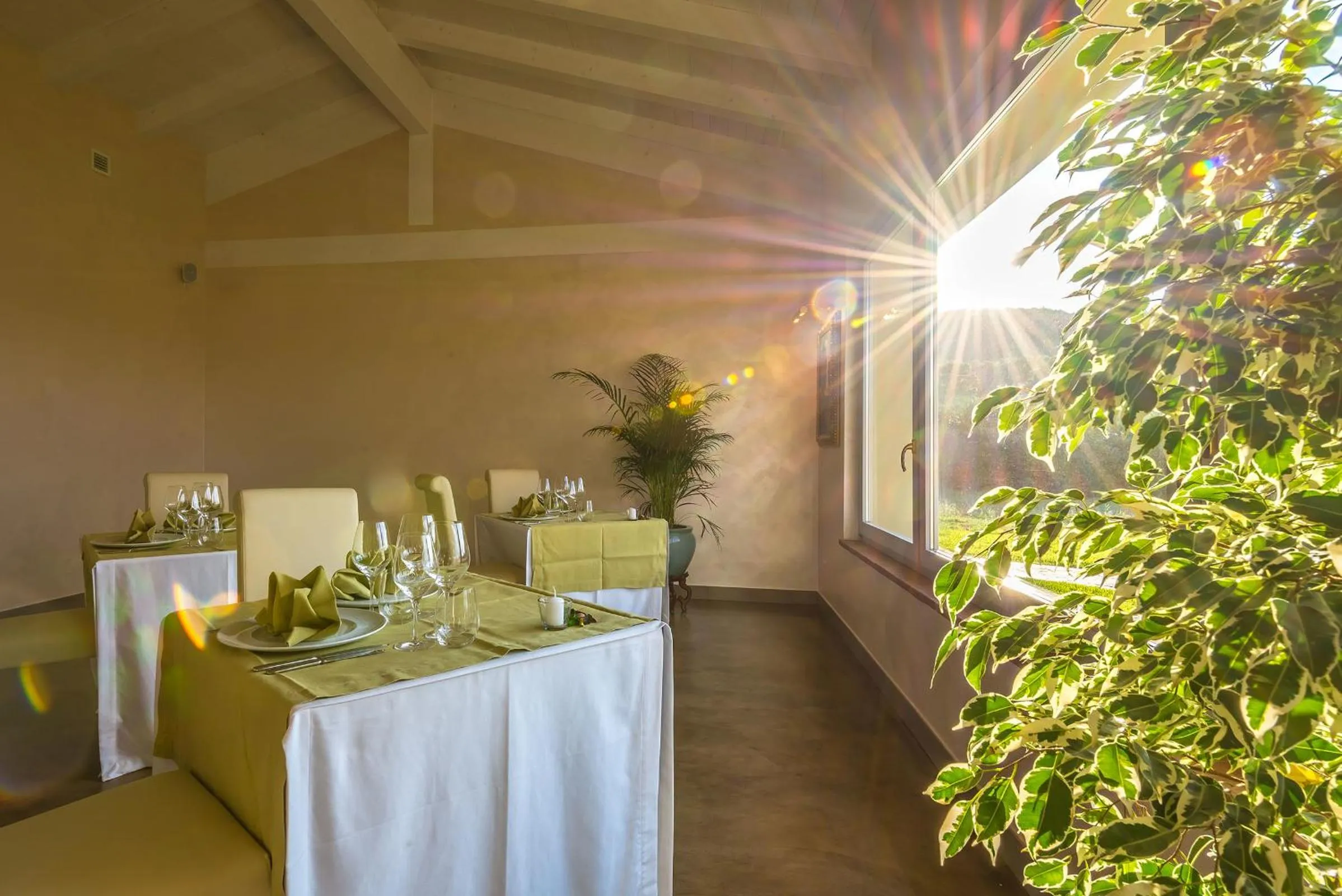 Food and drinks in Relais Paradiso Resort & Spa