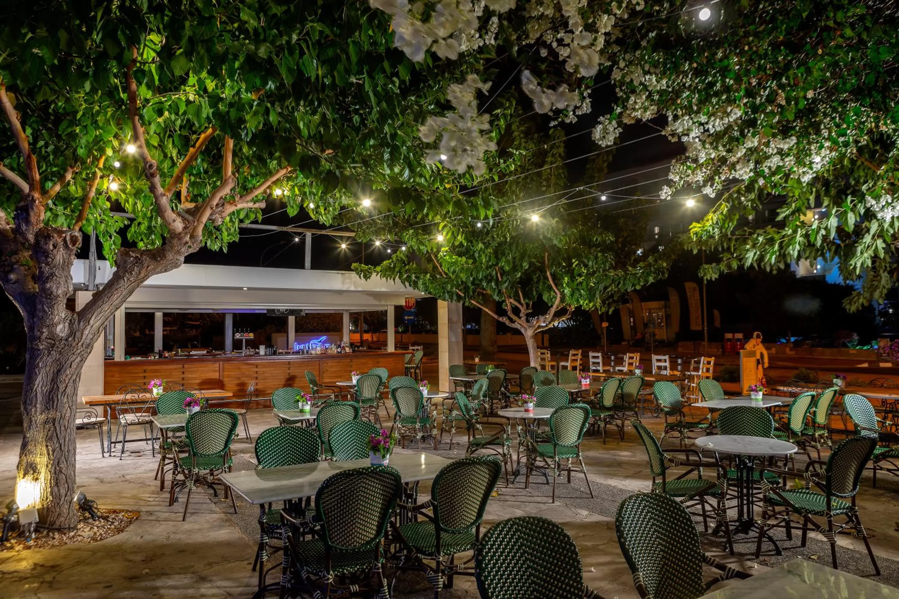 Alcoholic drinks in Aliathon Aegean