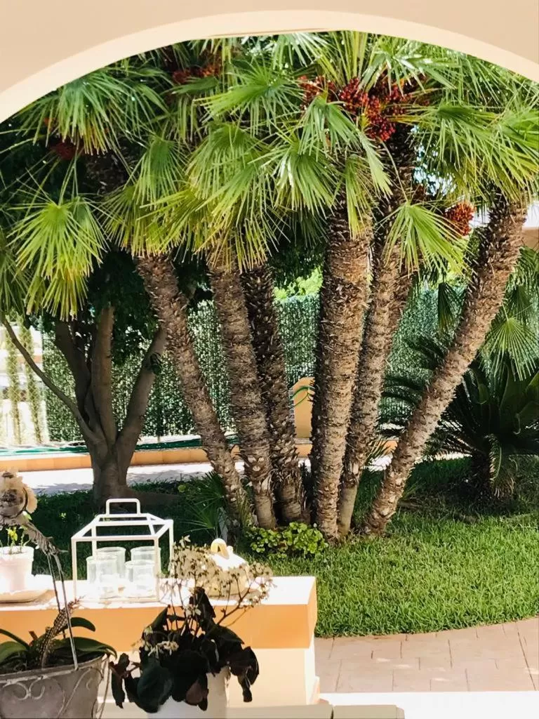 Garden in Casa Veronica