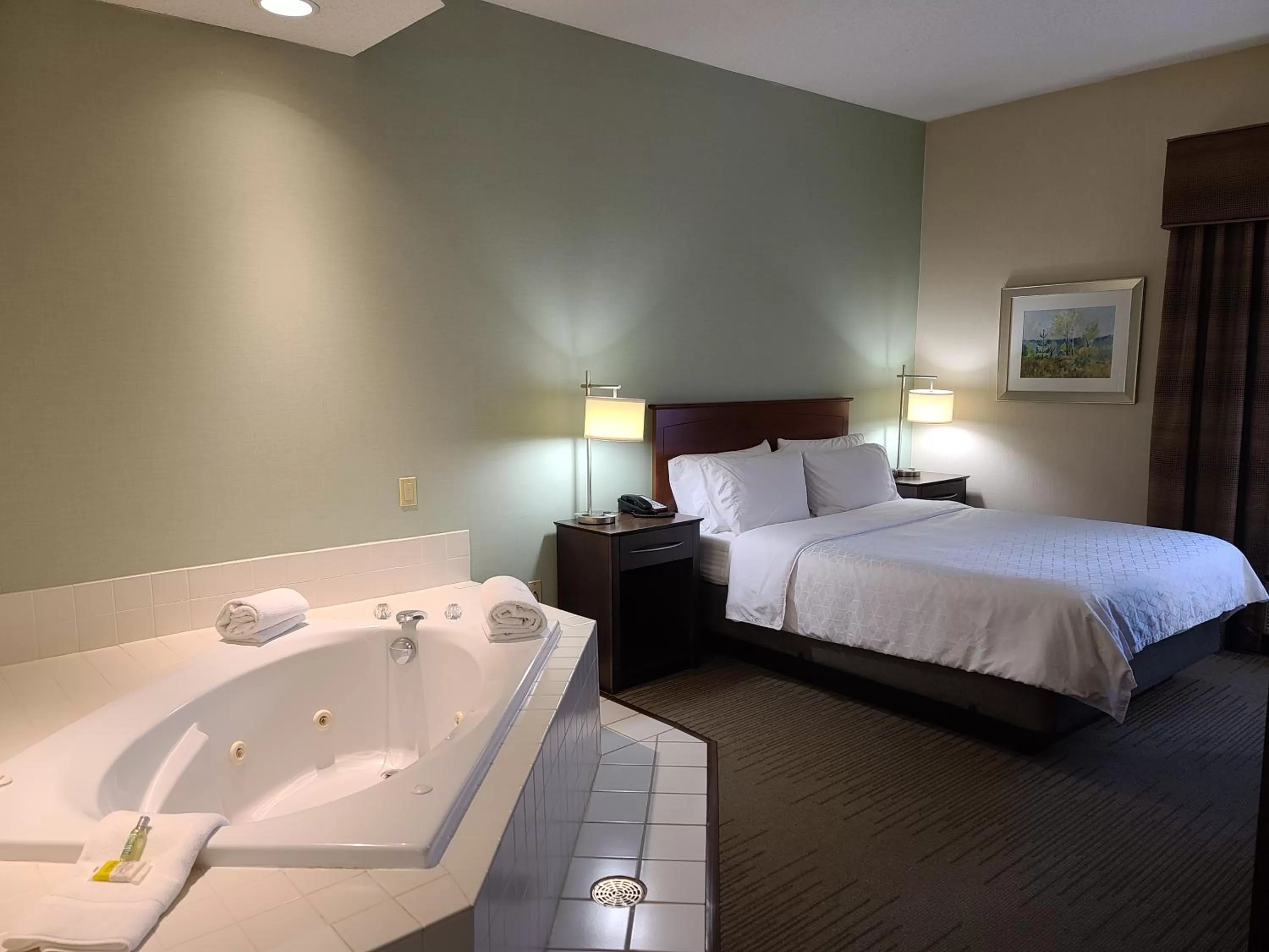 1 Queen Bed with In Room Whirlpool in Holiday Inn Express Hotel & Suites-St. Paul, an IHG Hotel