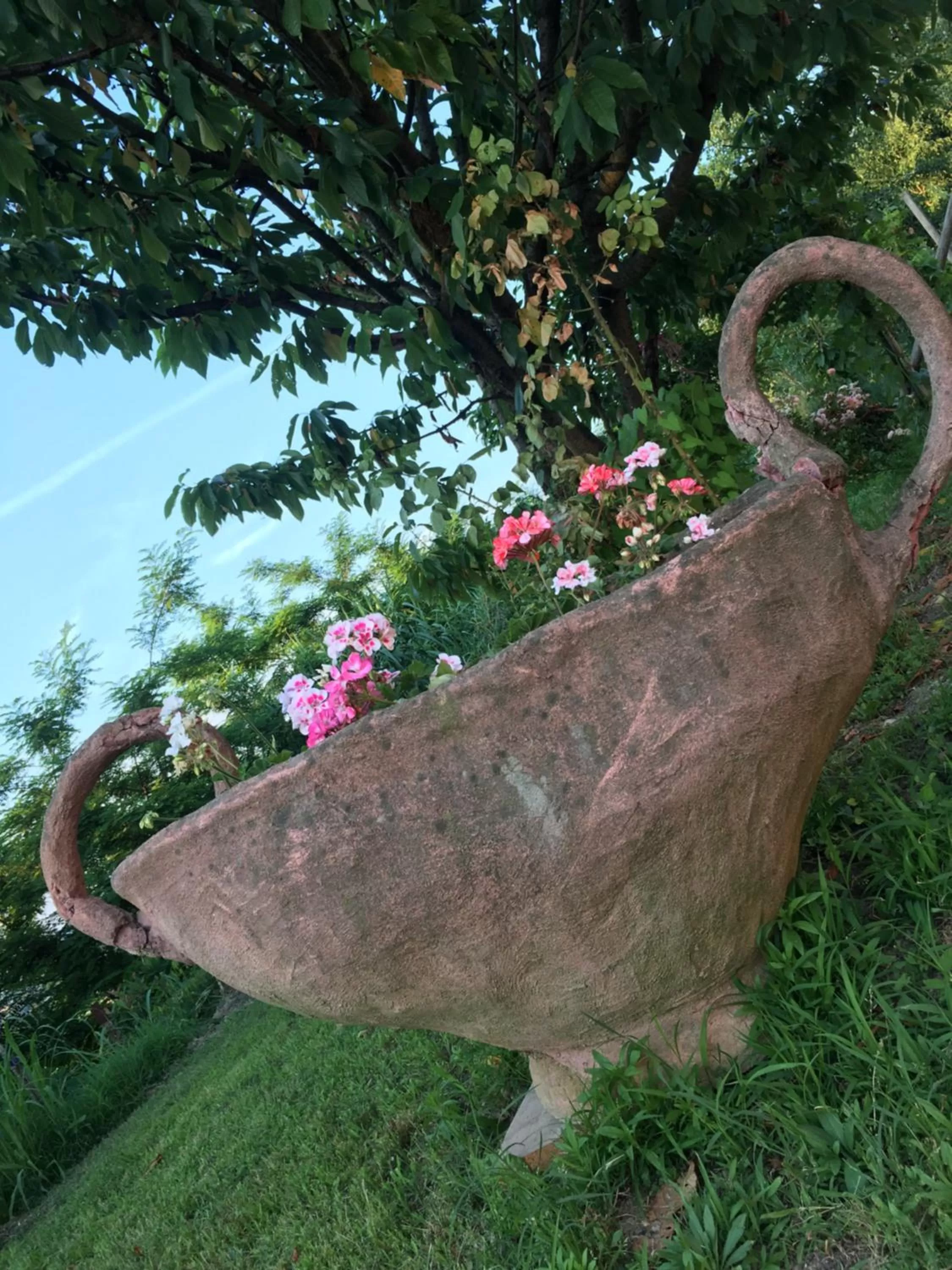 Rossella alla Villarella dei Tulipani