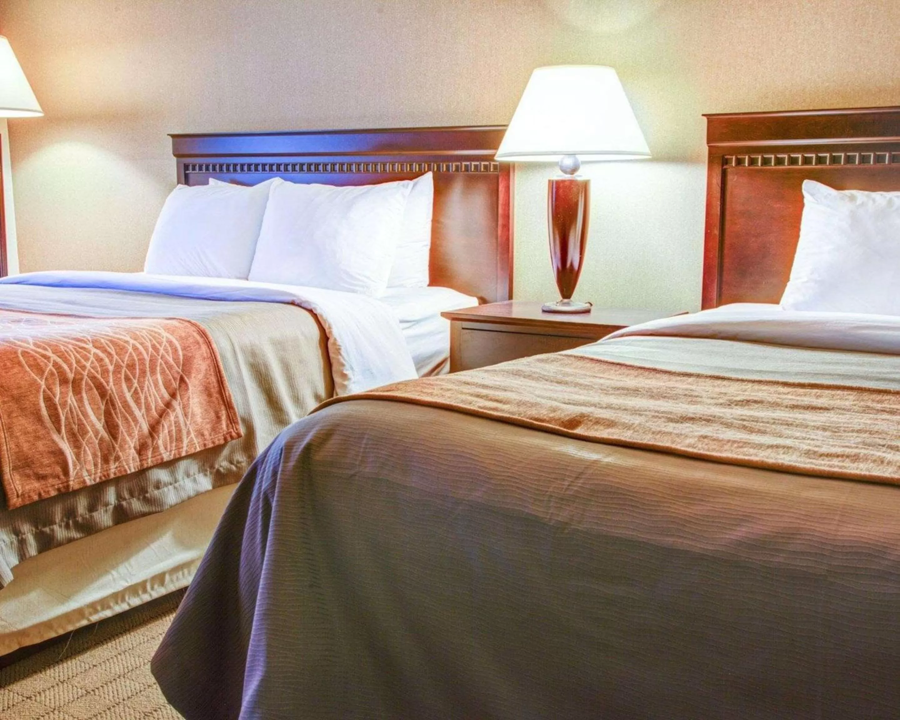 Photo of the whole room, Bed in Quality Inn Florence