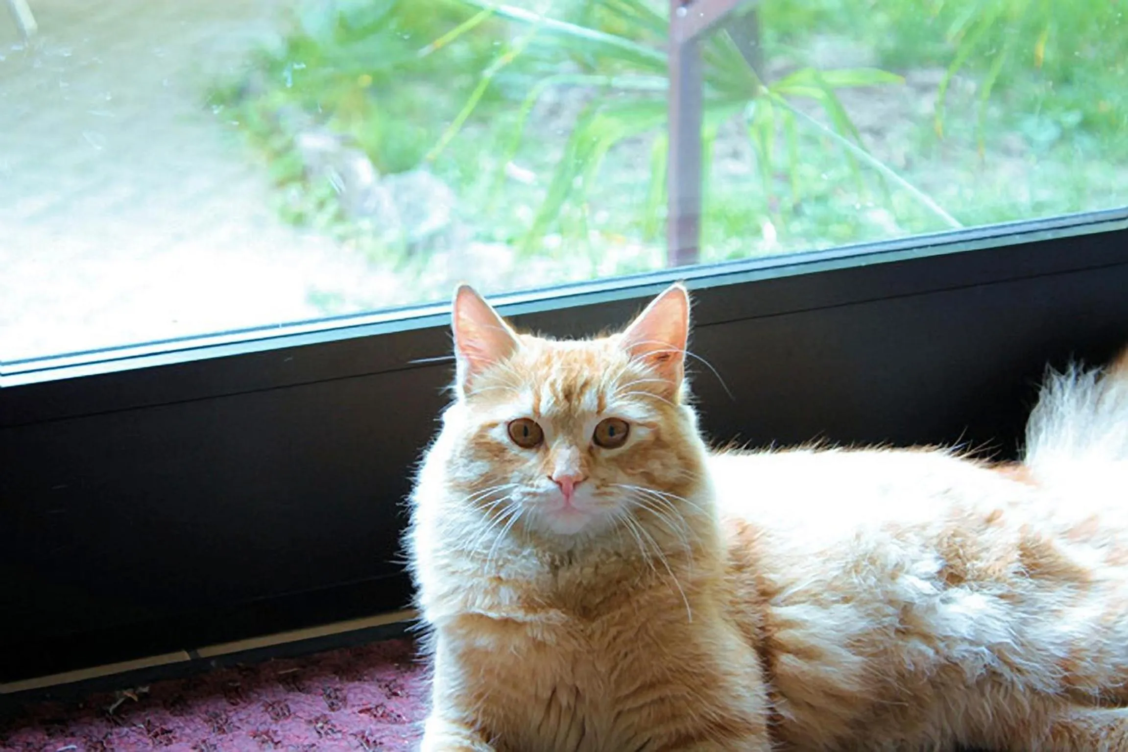 Other in Hotel Paradiso