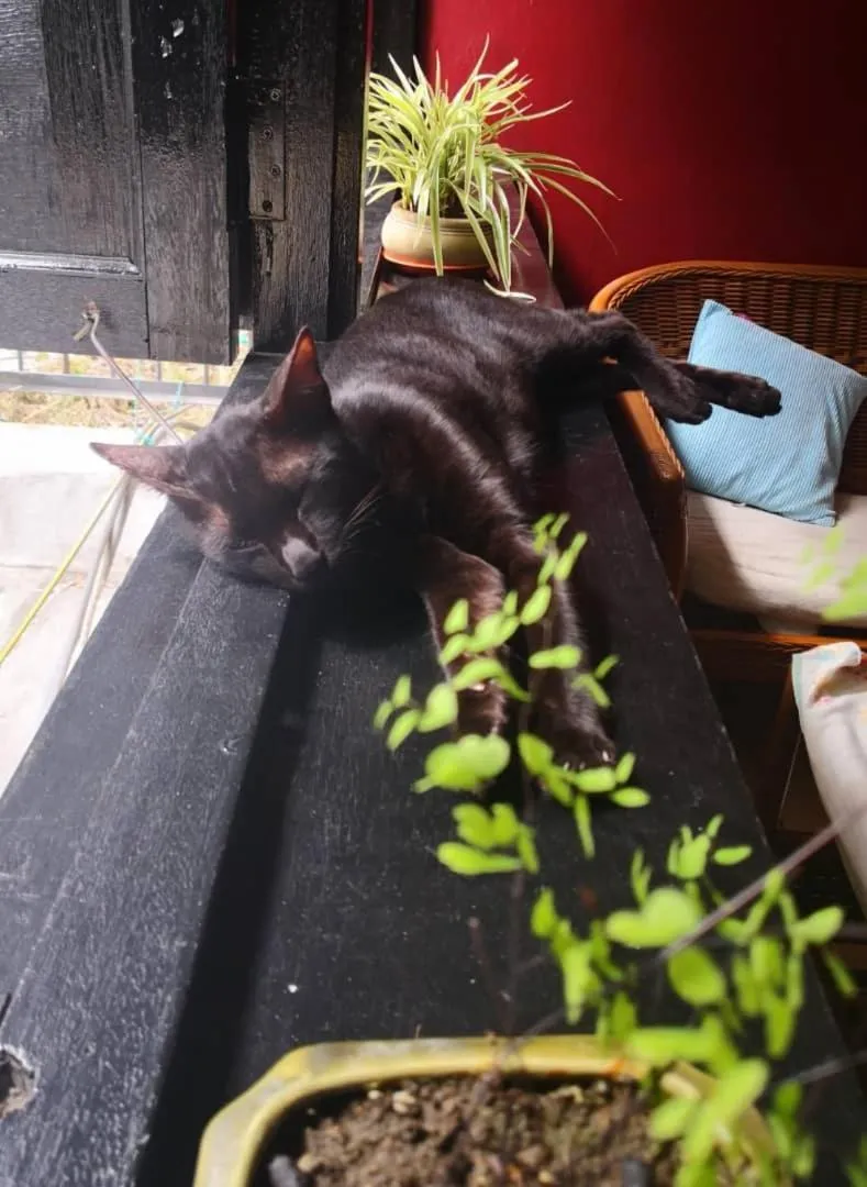 Property building in Akinabalu Youth Hostel