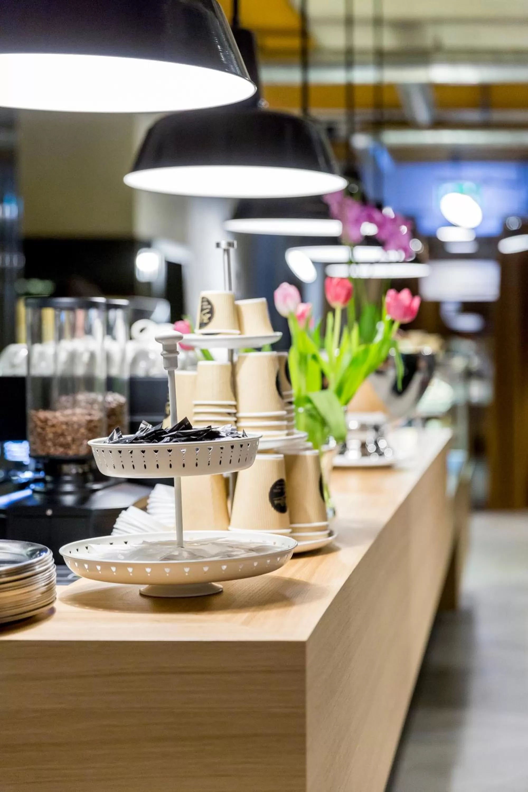 Restaurant/places to eat in Hotel ZwiBack