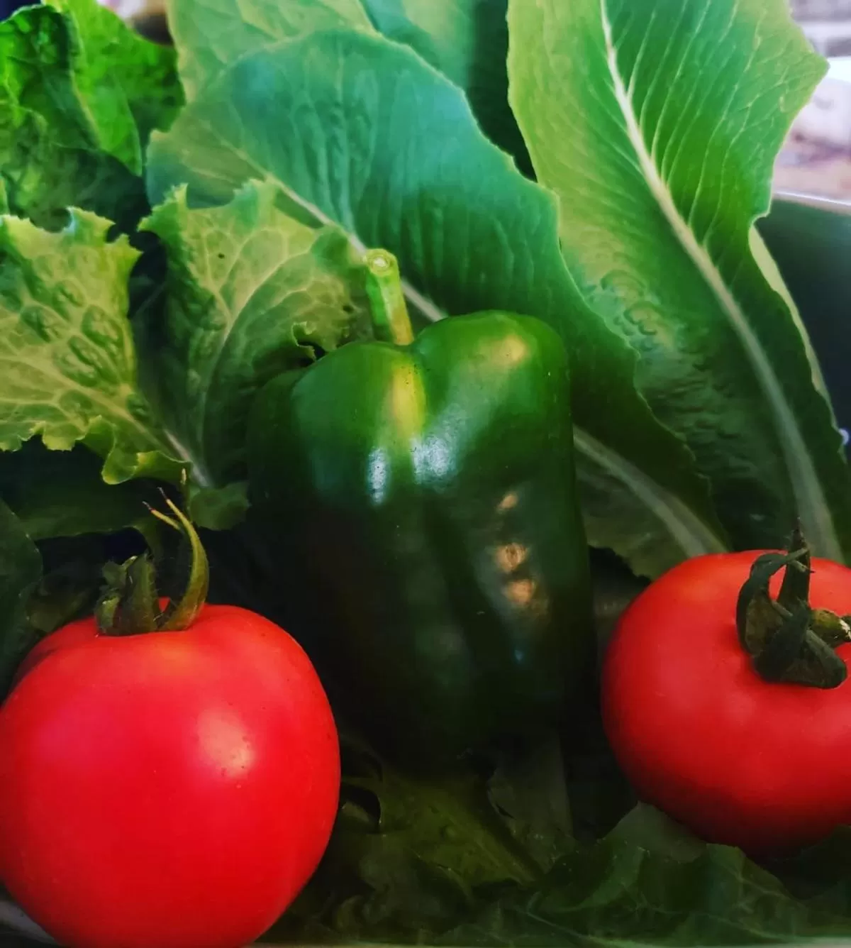 Food in Blue Paloma Bed & Breakfast