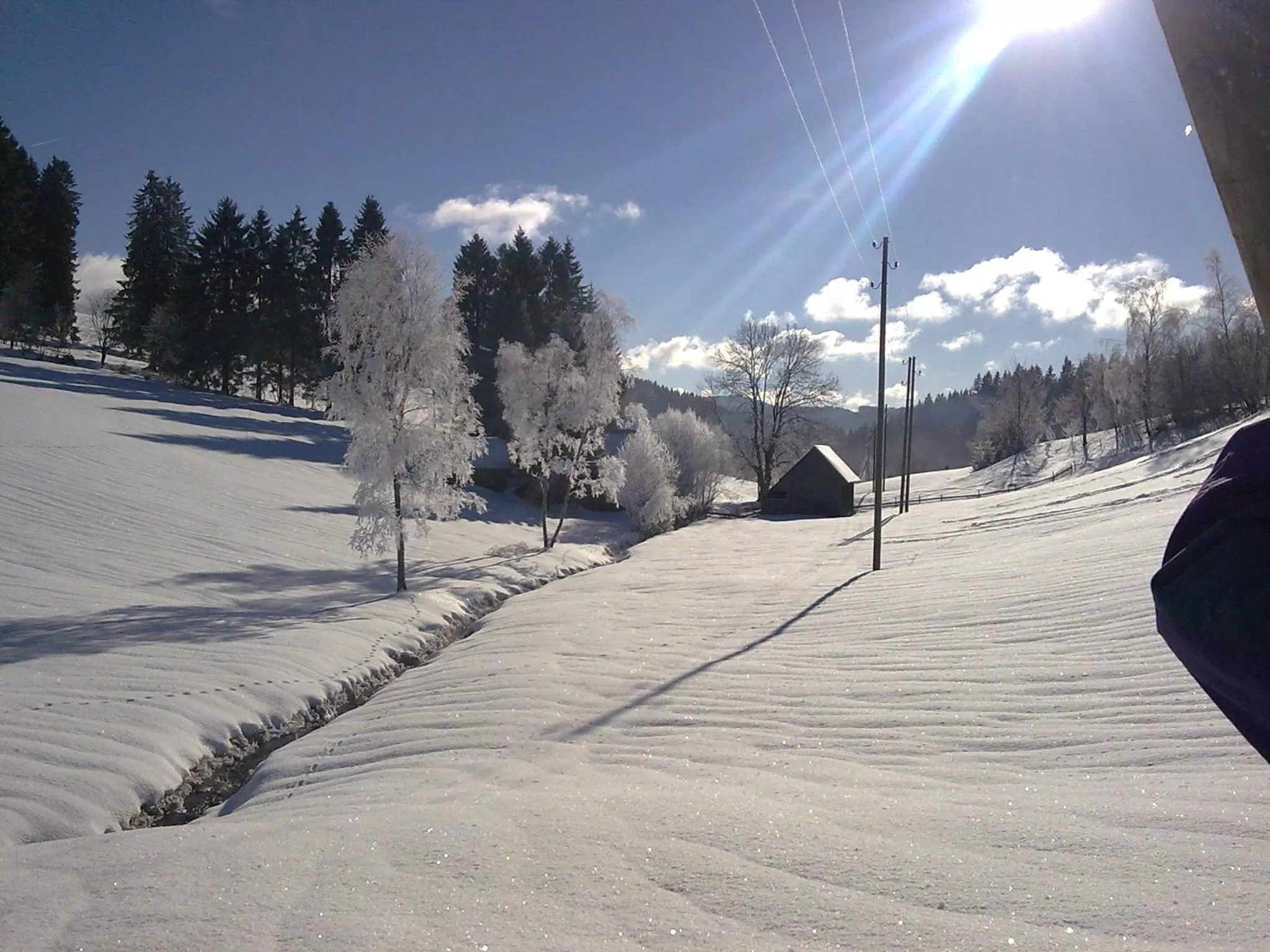 Natural landscape in ZUR TRAUBE Schwarzwaldhotel & Restaurant am Titisee