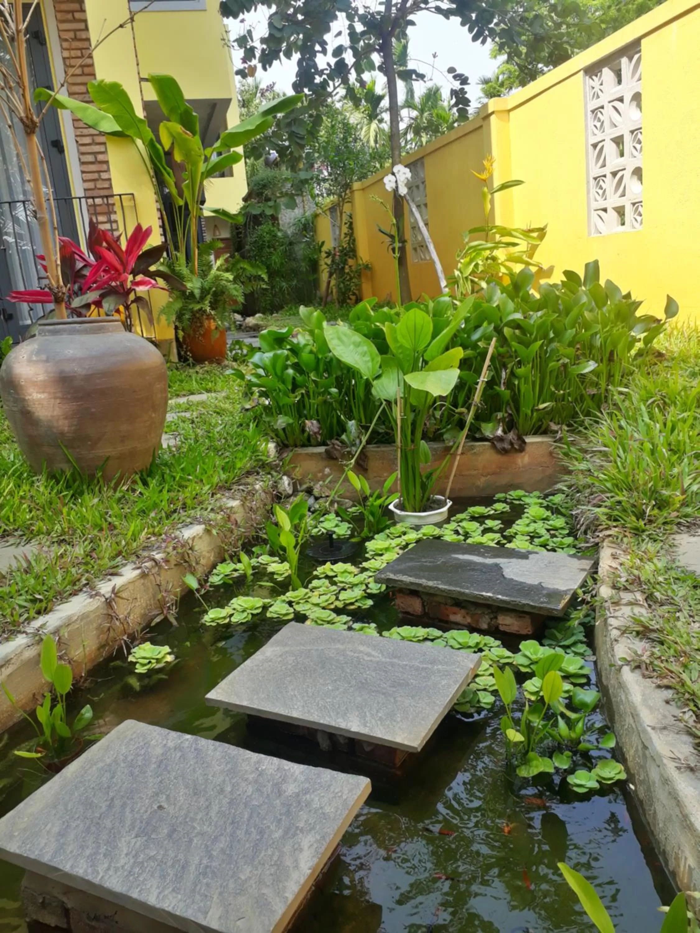 Garden in Pink Tulip Hoi An