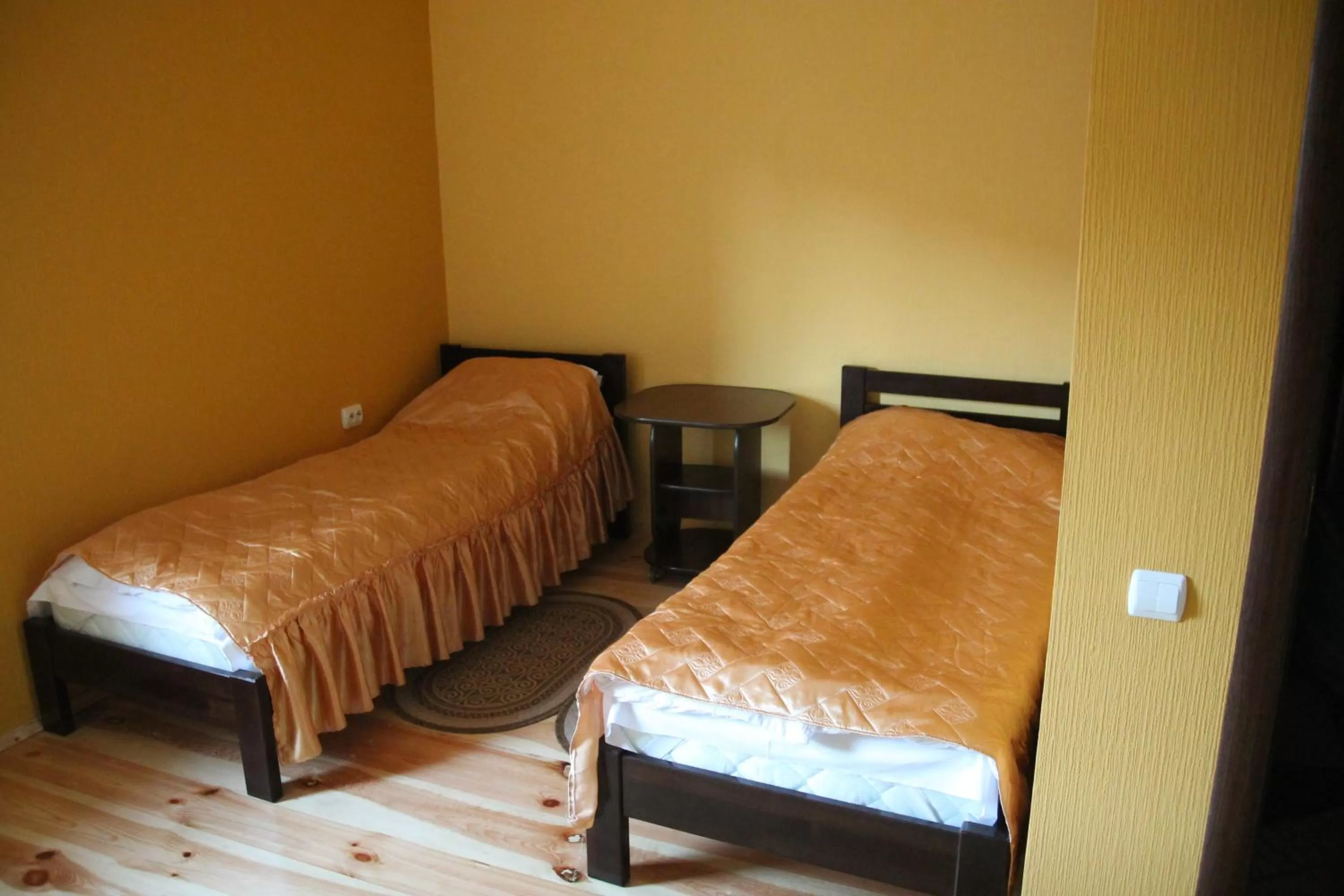 Photo of the whole room, Bed in Troyanda