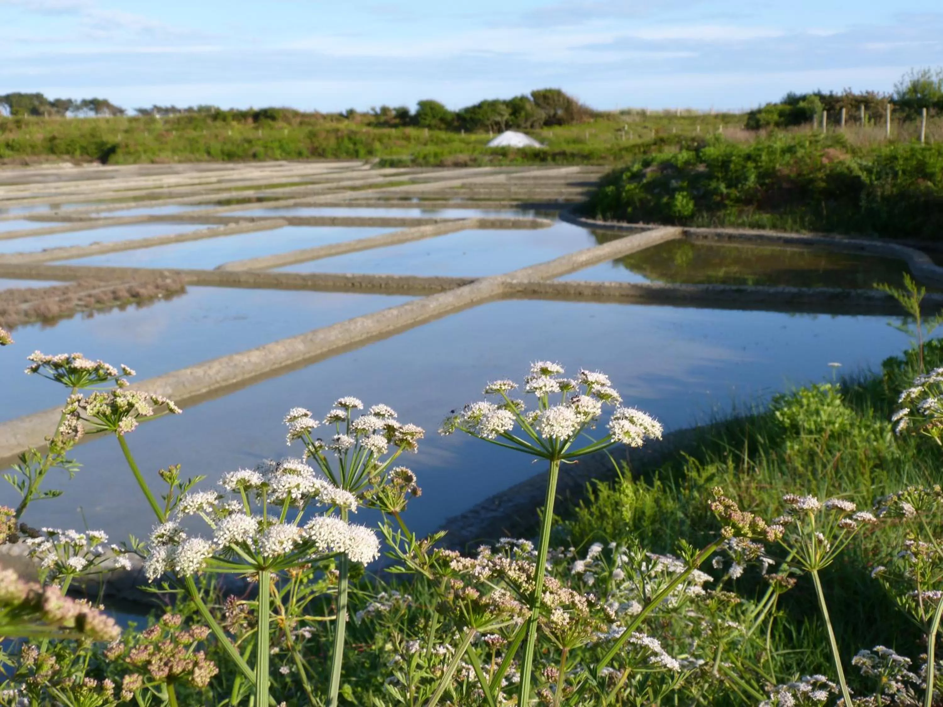 Natural landscape, Bird's-eye View in Chambres d'hôtes de Kerpunce