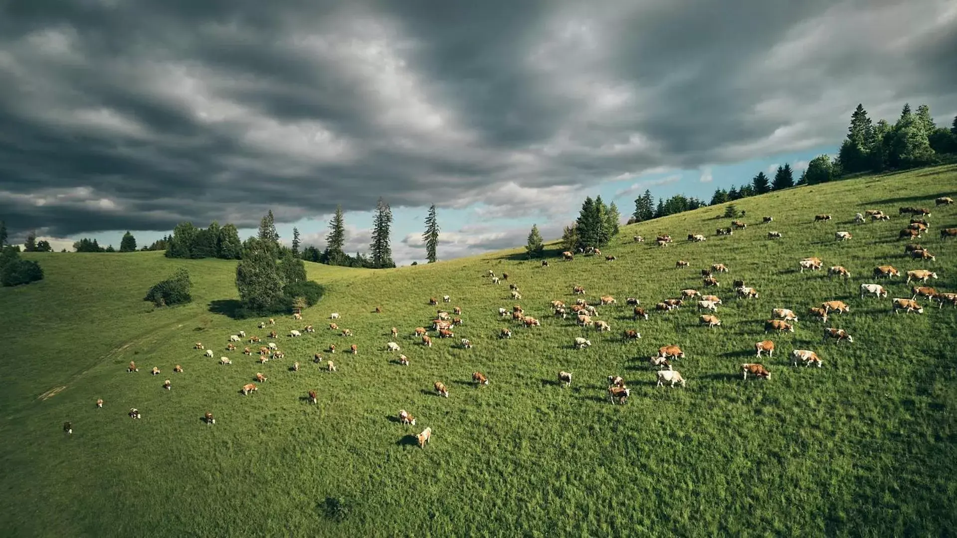 Deluxe Apartment in SKI CIERNY BALOG Deluxe Apartment in SKI CIERNY BALOG