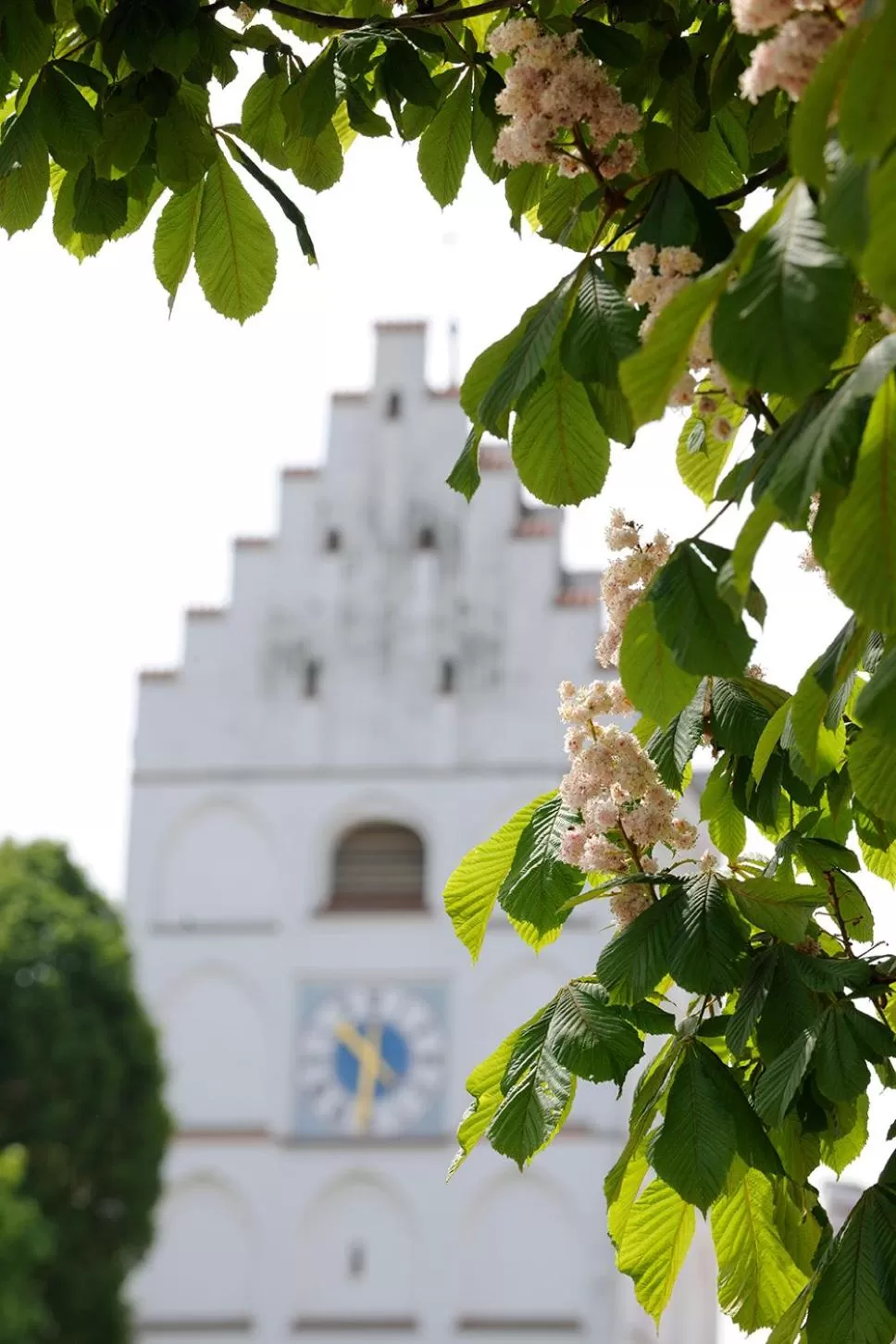 Area and facilities, Property Building in Landhotel Schlappinger-Hof