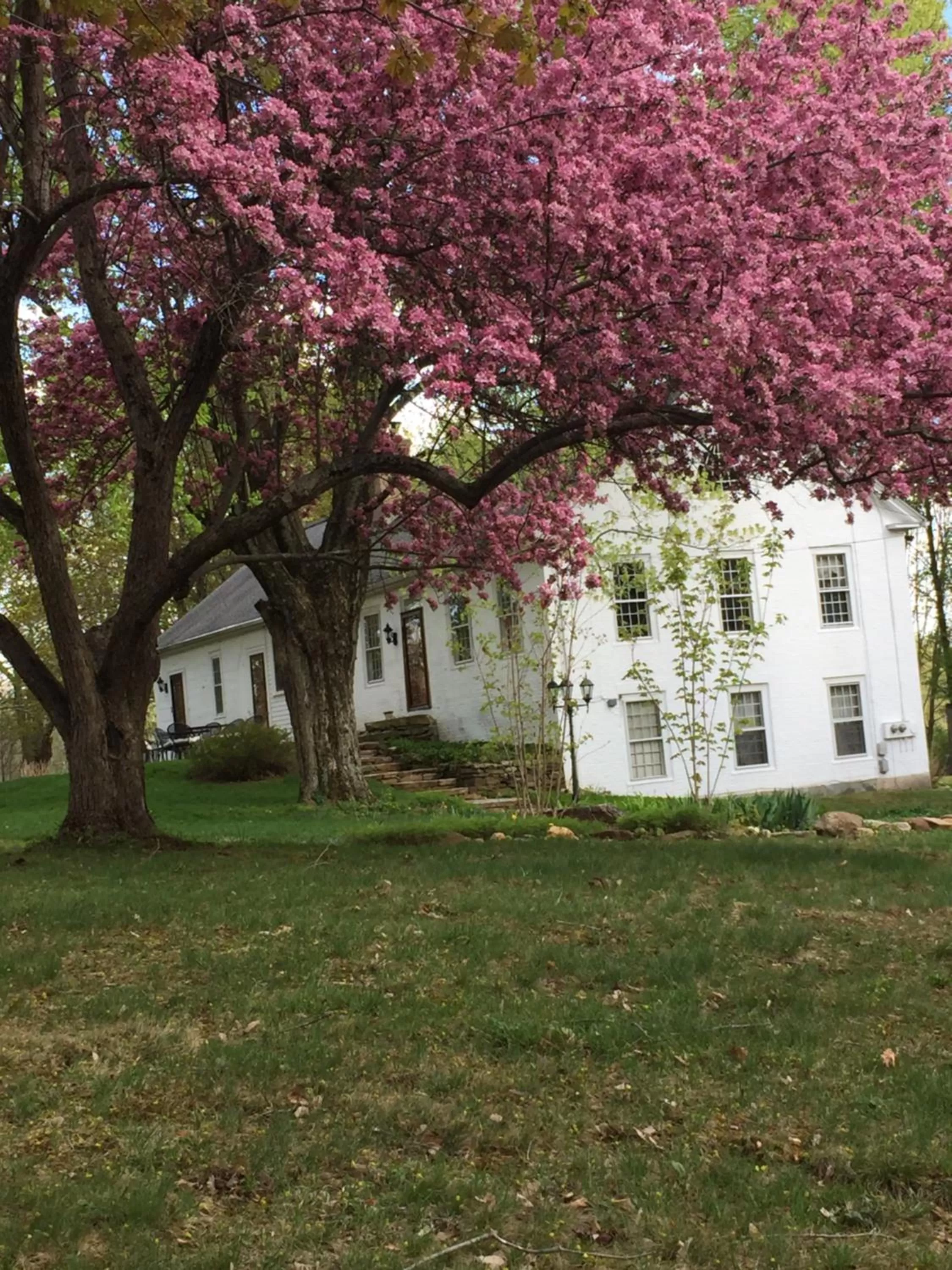 Facade/entrance in Innkeeper's Place B&B