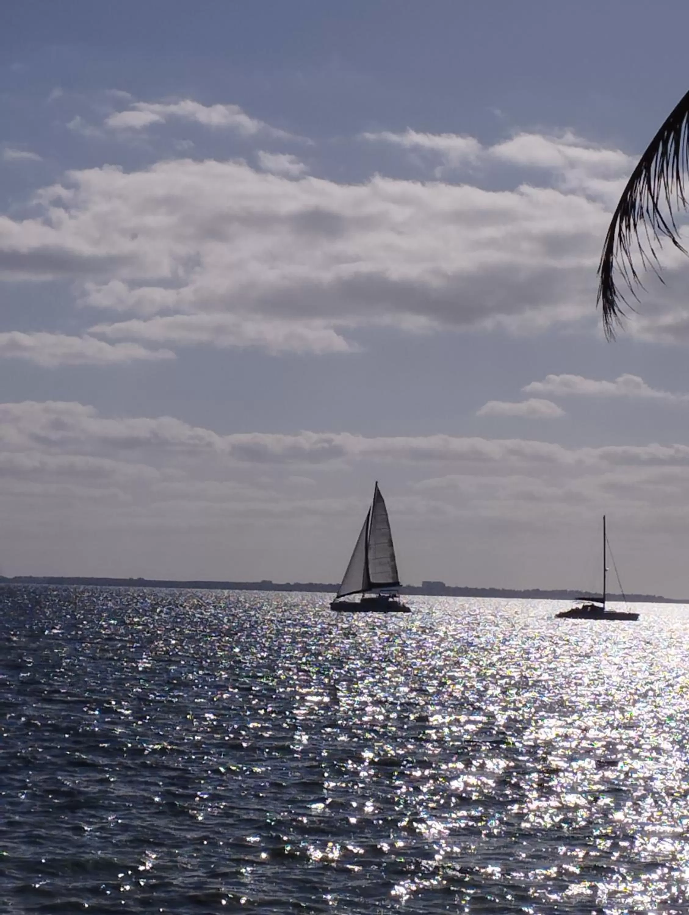 Natural landscape in Flamingo Ocean View