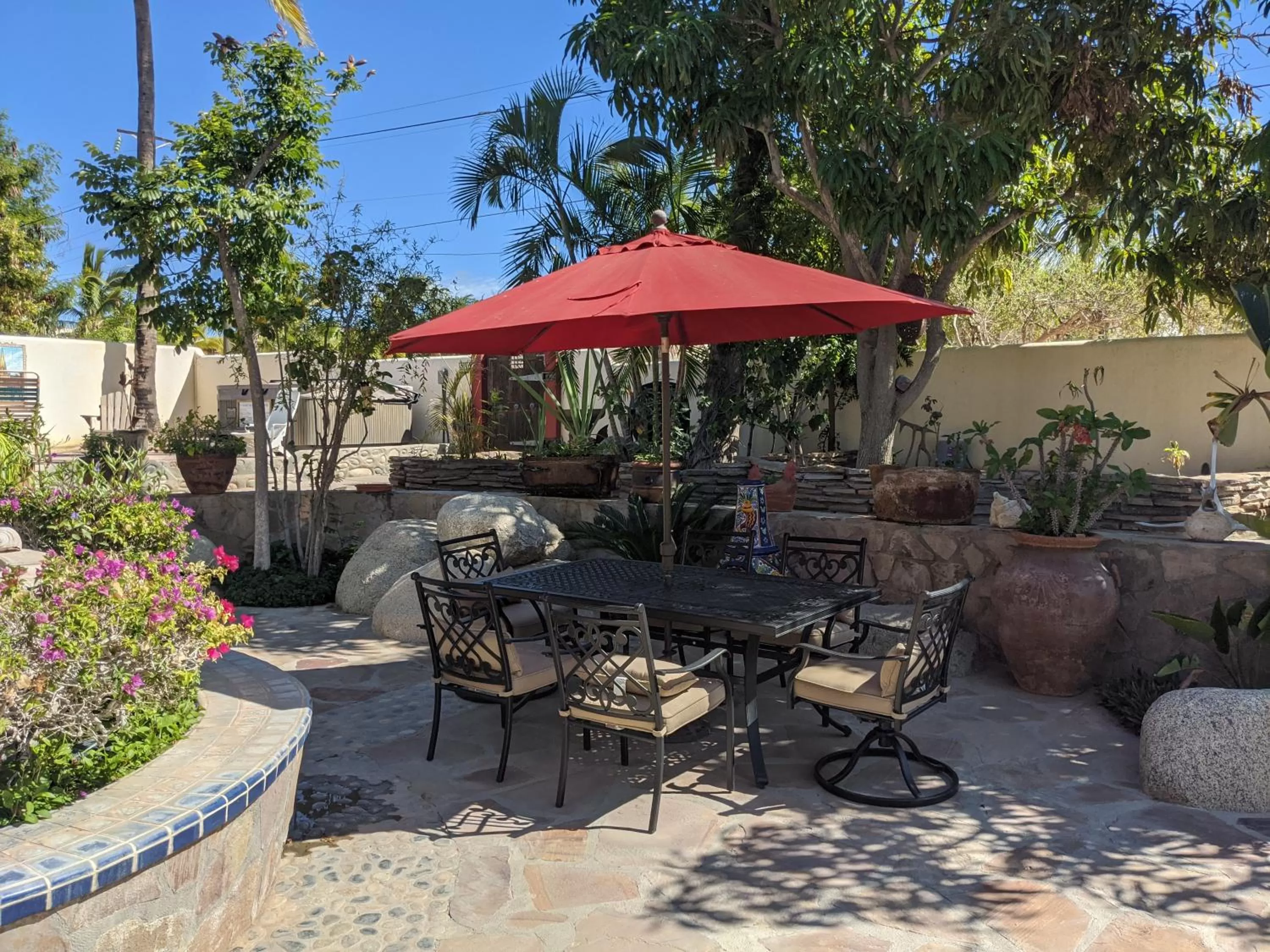 Garden in Hacienda De Palmas