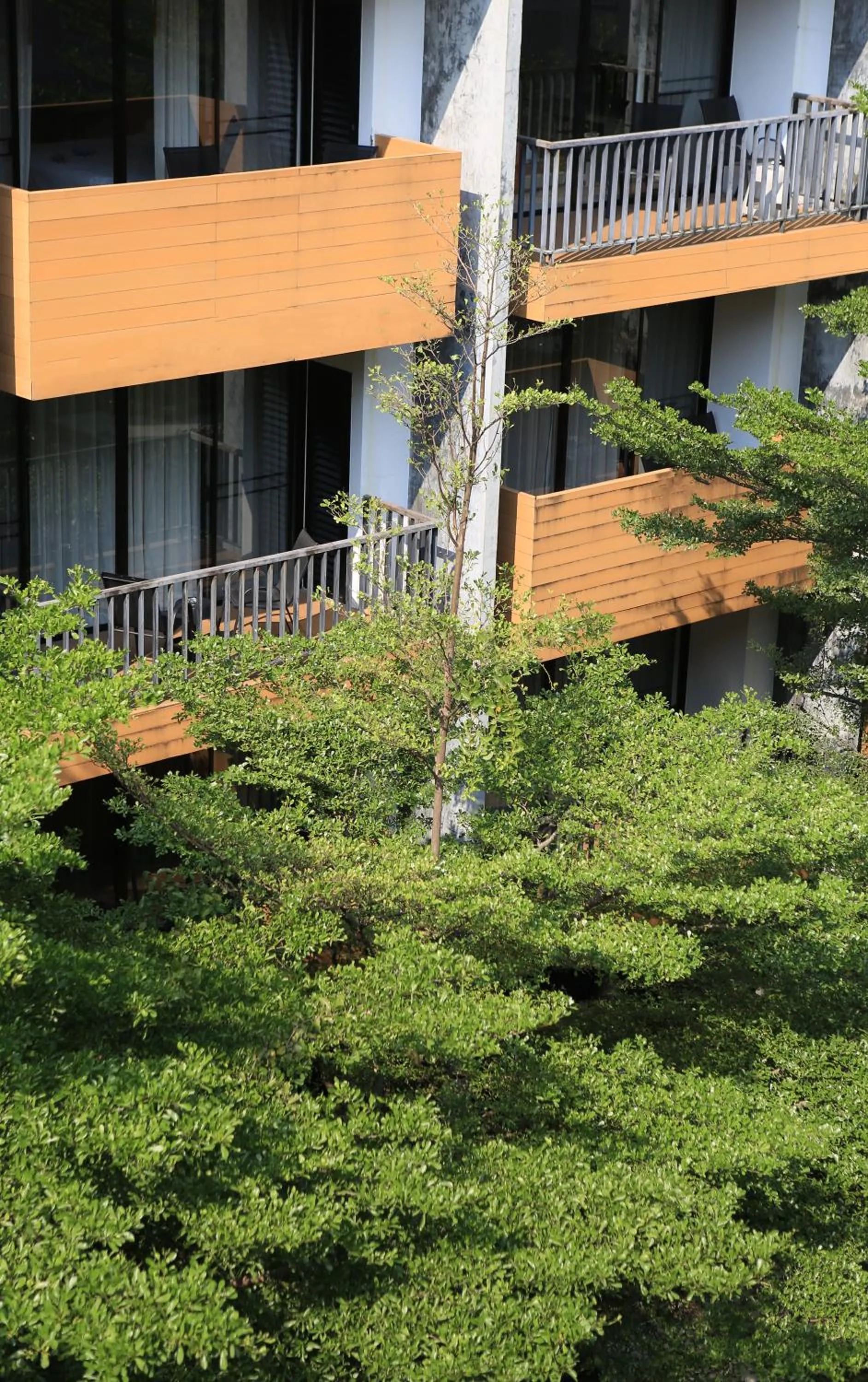 View (from property/room) in The Silver Palm Wellness Resort