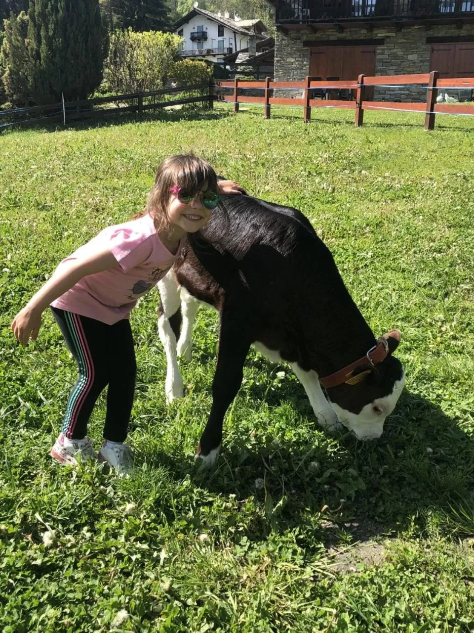 Activities in Hotel La Grange - Animal Chic Hotel