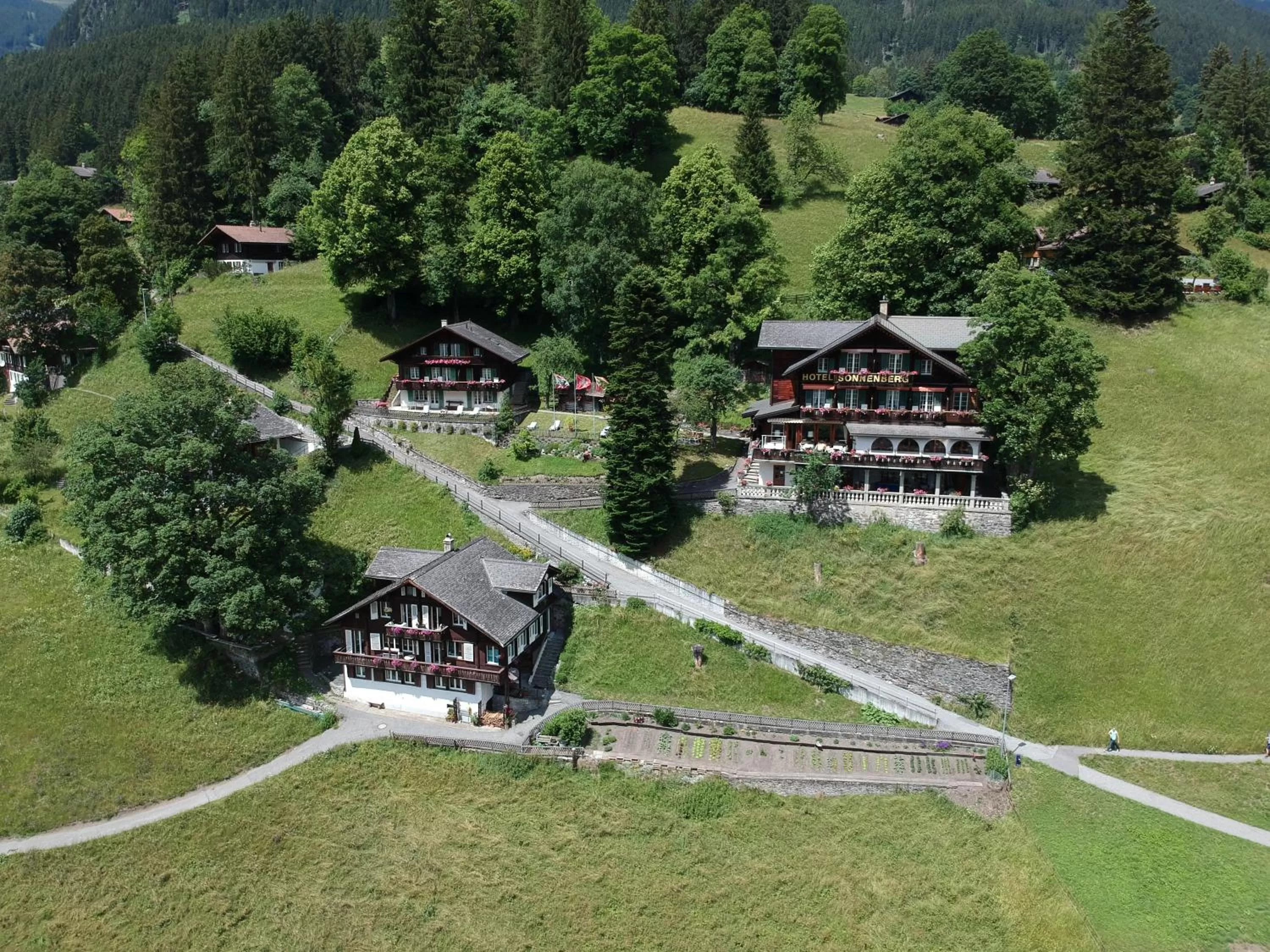 Bird's eye view in Hotel Sonnenberg