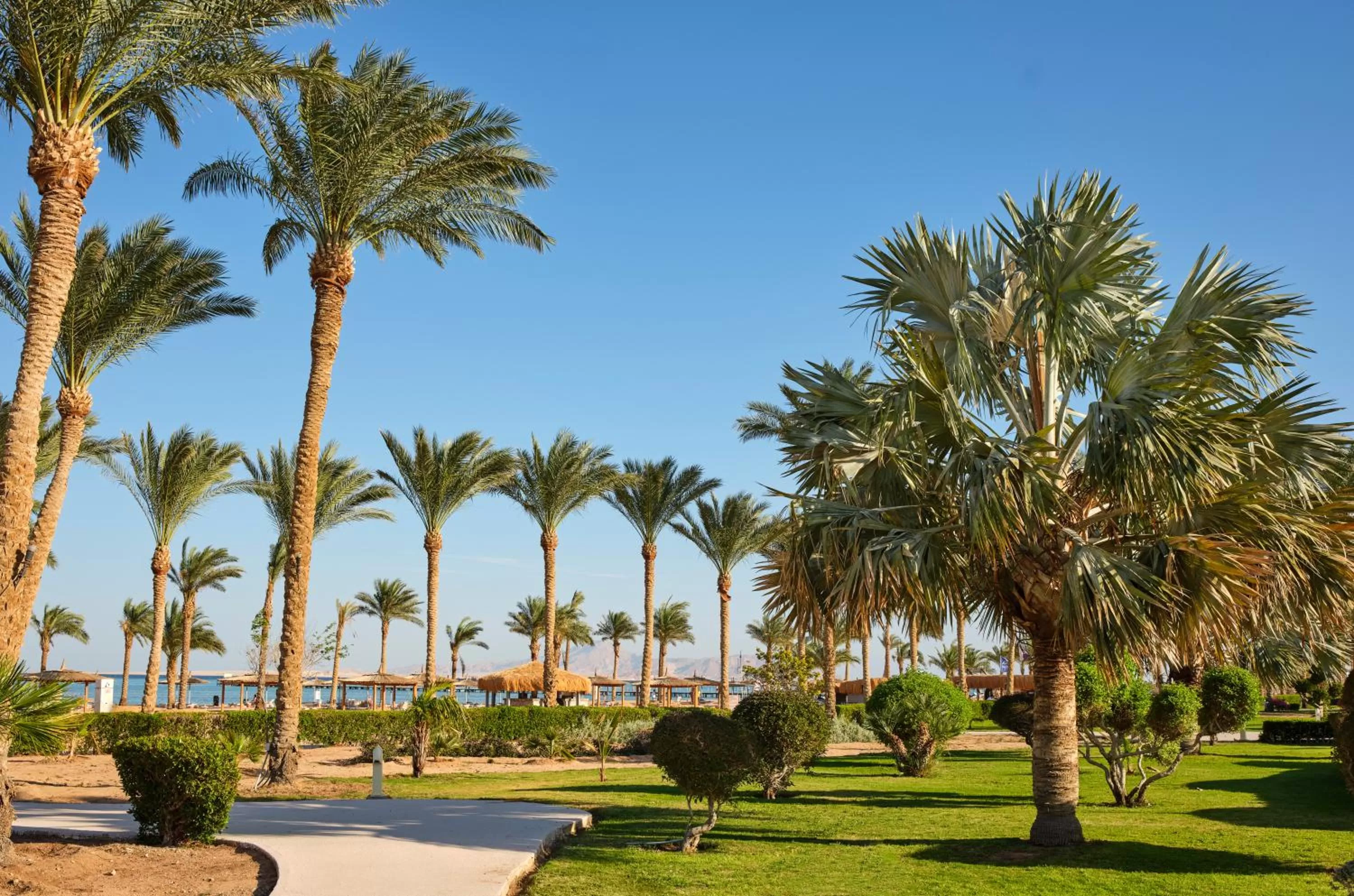 View (from property/room) in Coral Sea Waterworld Sharm El Sheikh