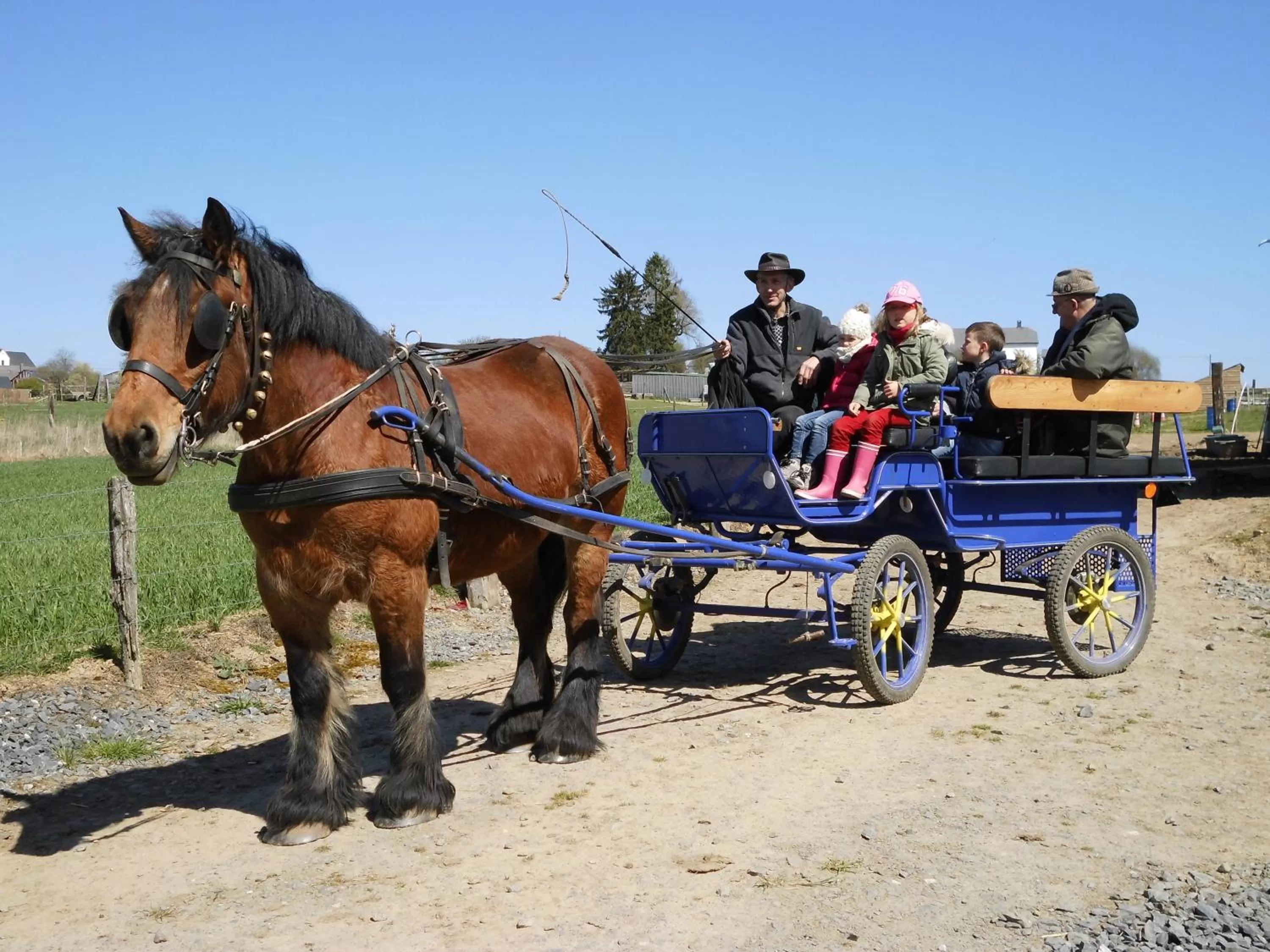Entertainment, Other Animals in B&B Willow Springs Way Station