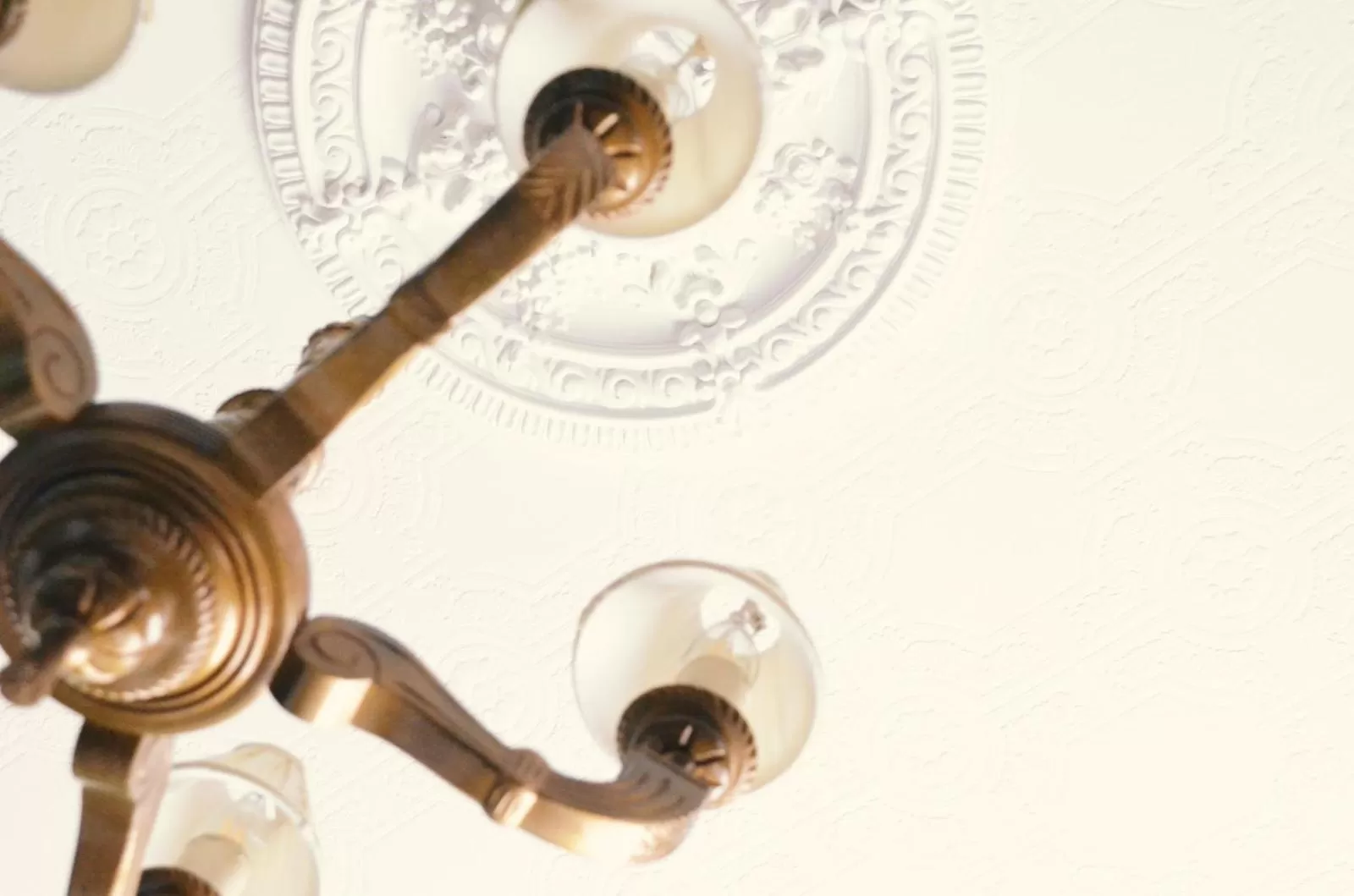 Gregory by the Warren Collection