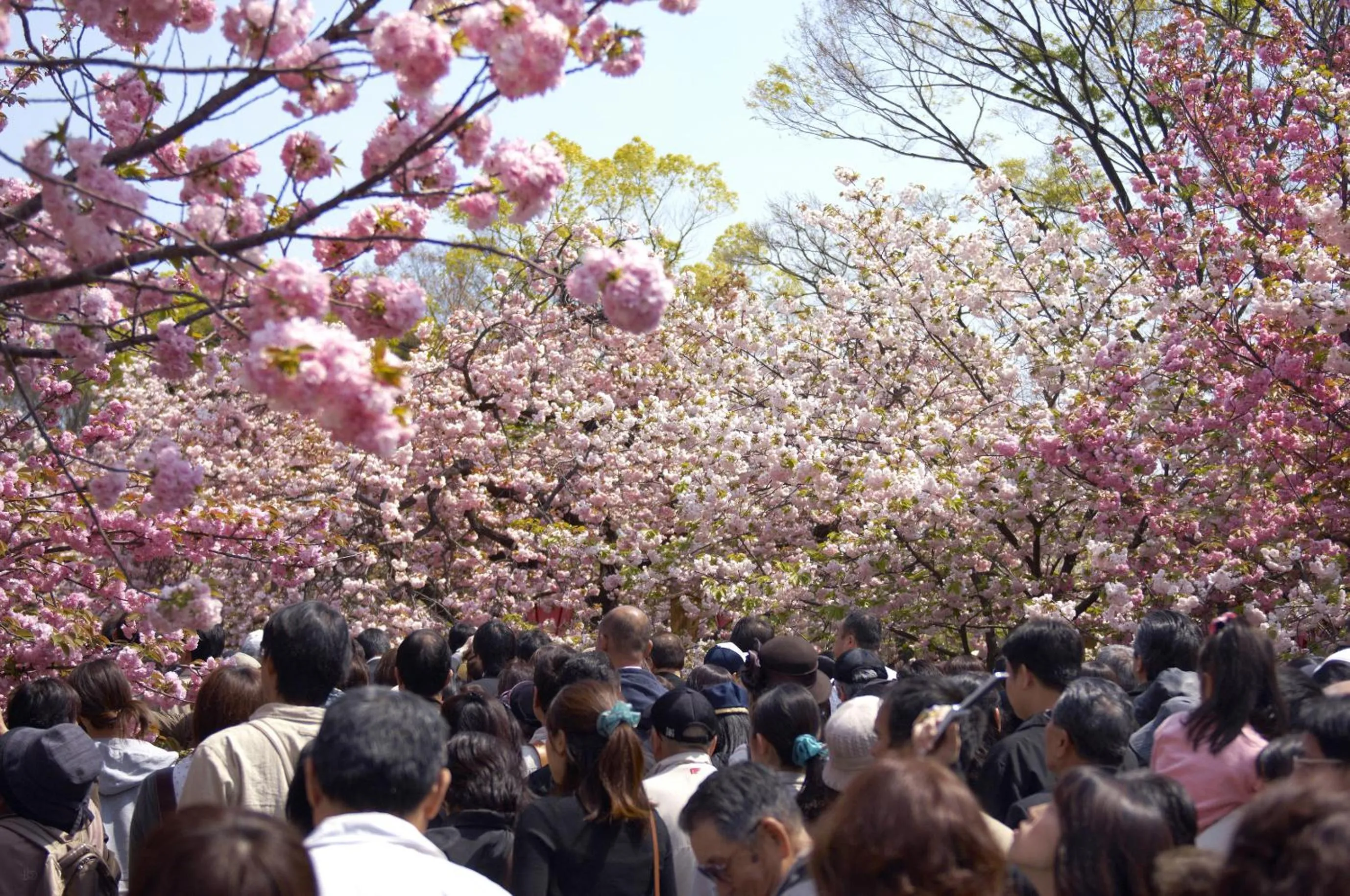 Entertainment in Hotel Sunplaza
