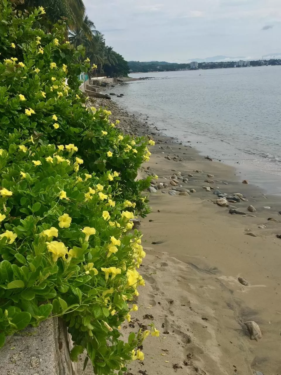 Beach in Villas Jardin Del Mar