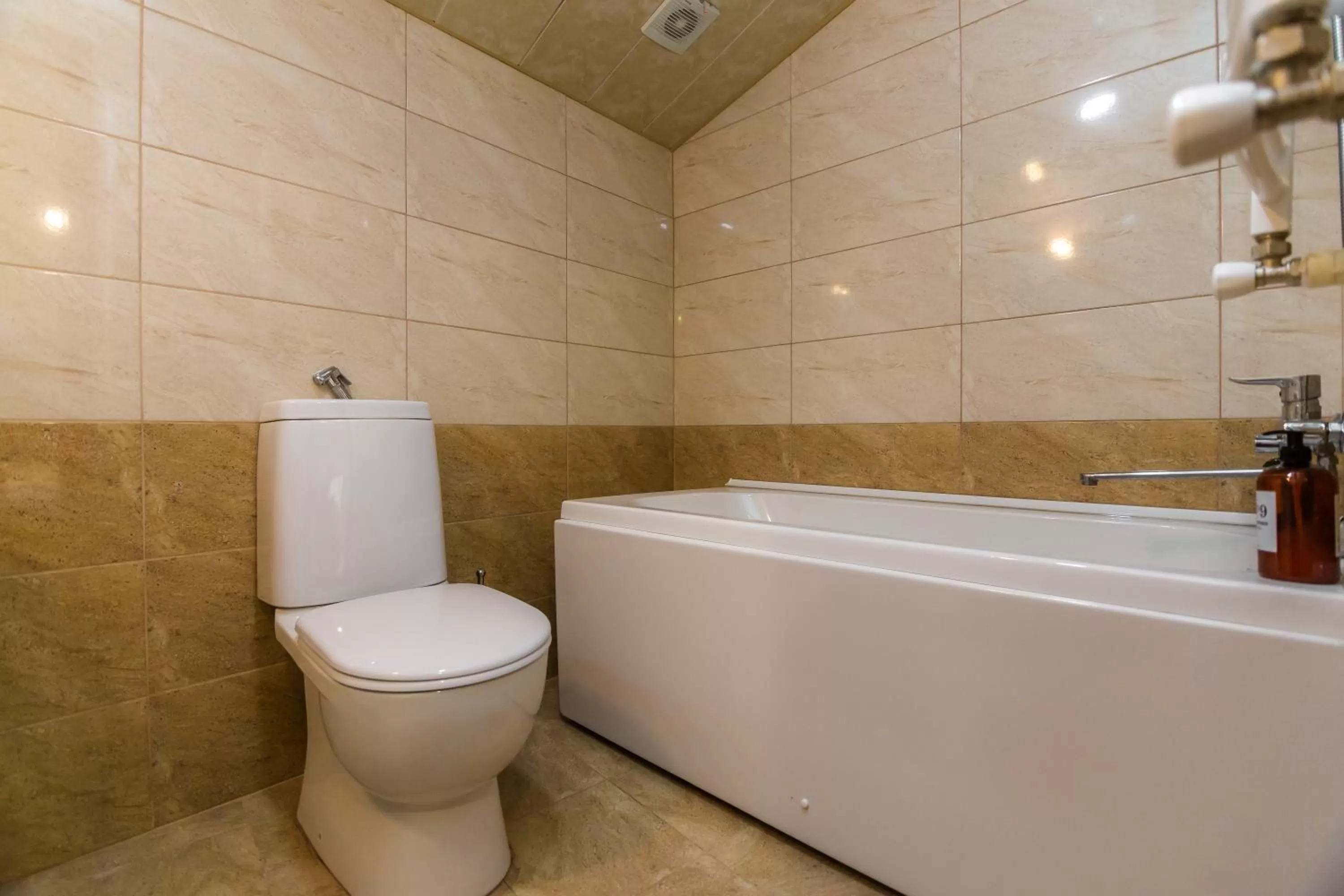 Toilet, Bathroom in VovaDoma